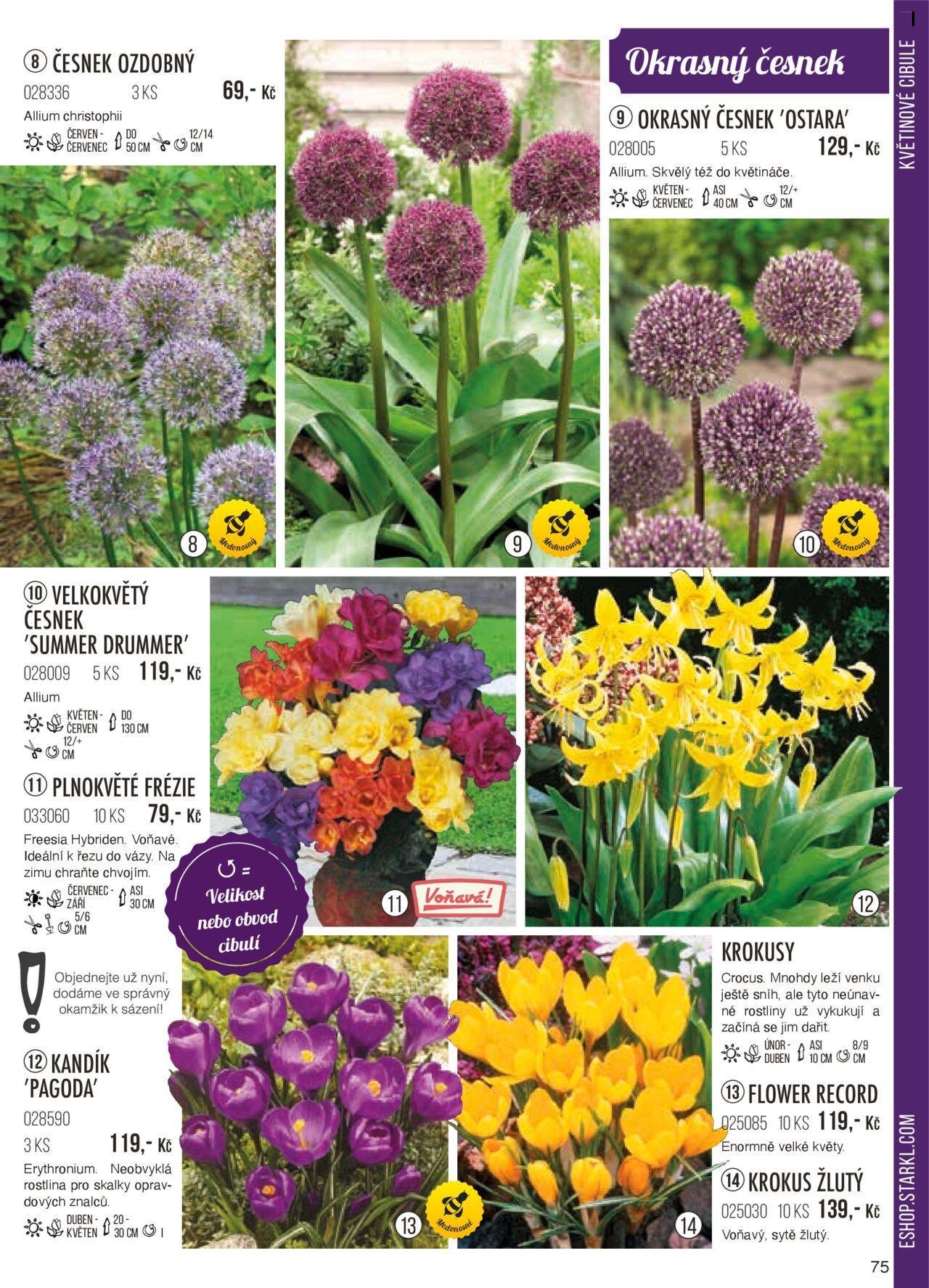 starkl - Starkl katalog podzim 2024 od čtvrtka 01.08.2024 - page: 75 starkl - Starkl katalog podzim 2024 od čtvrtka 01.08.2024 - page: 75