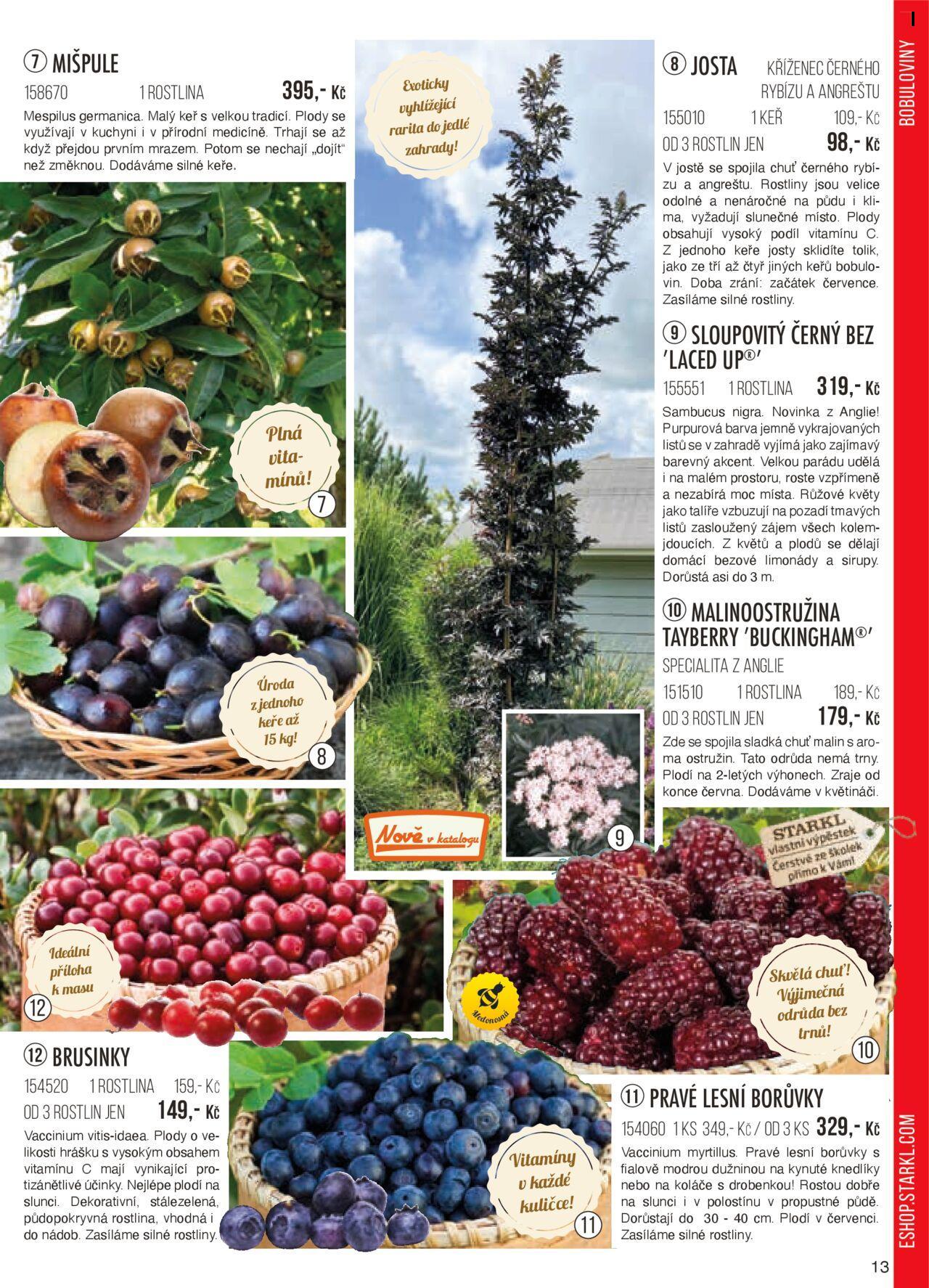 starkl - Starkl katalog podzim 2024 od čtvrtka 01.08.2024 - page: 13 starkl - Starkl katalog podzim 2024 od čtvrtka 01.08.2024 - page: 13