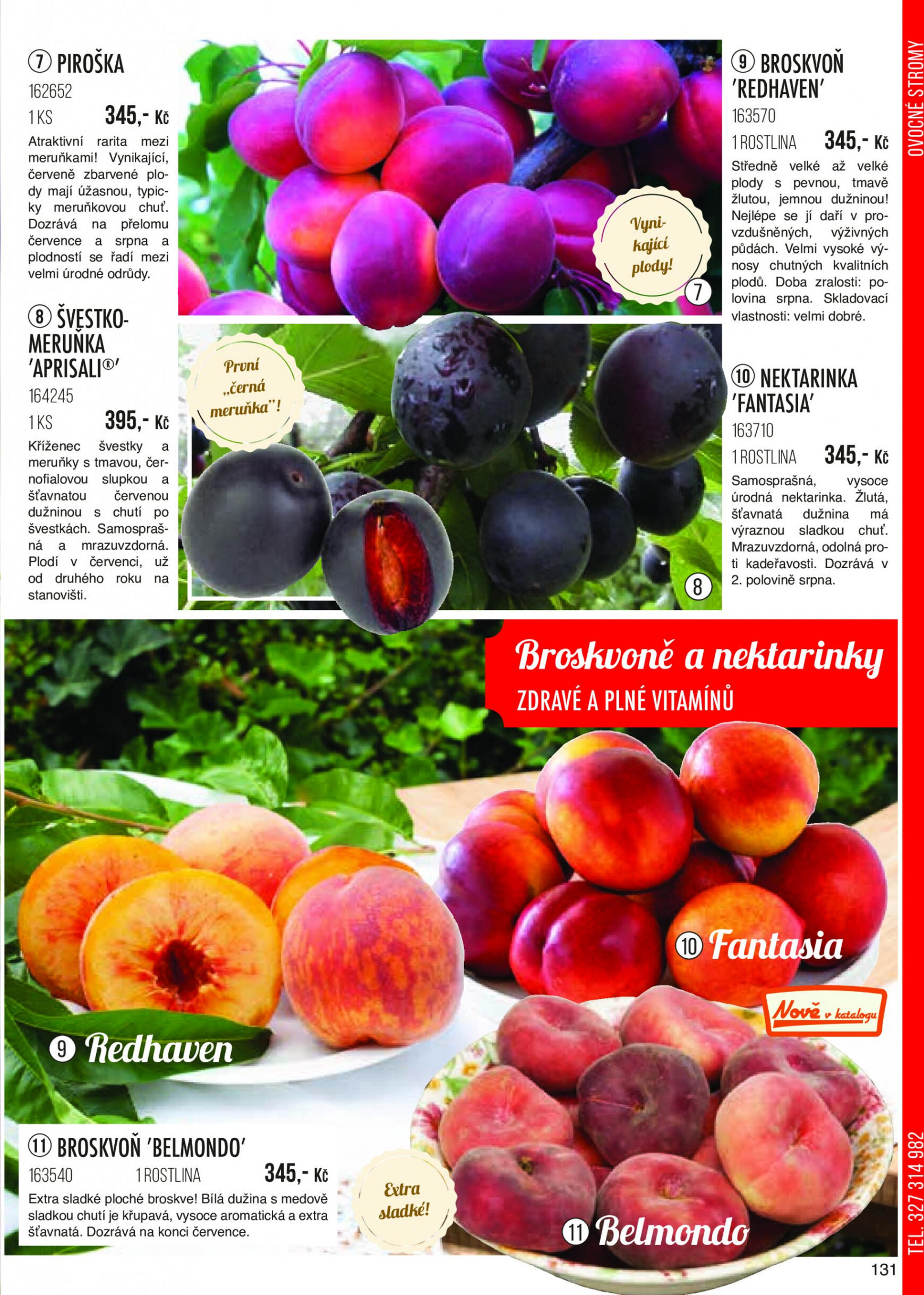 starkl - Starkl platný od 21.12.2023 - page: 131 starkl - Starkl platný od 21.12.2023 - page: 131