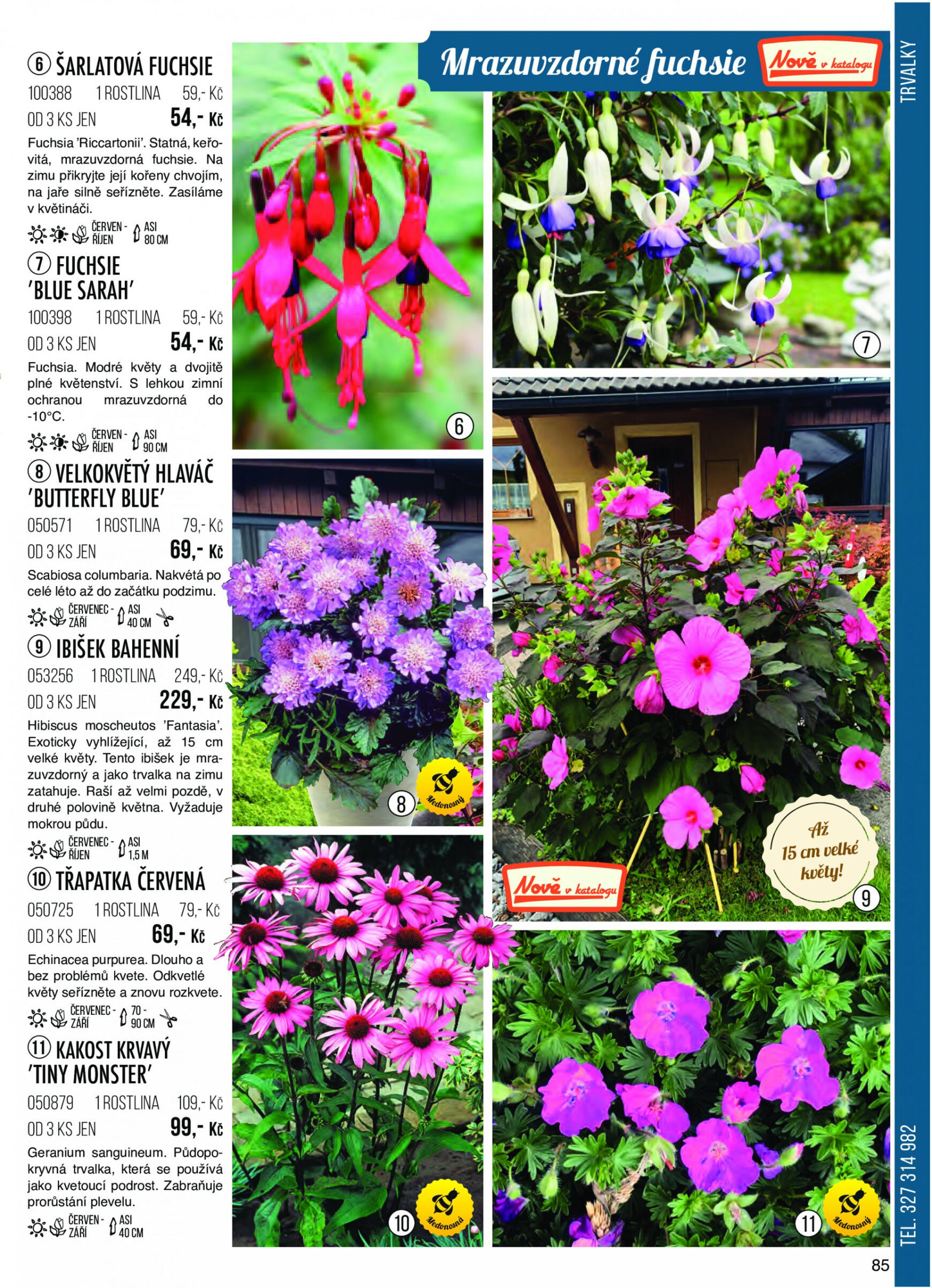 starkl - Starkl platný od 21.12.2023 - page: 85 starkl - Starkl platný od 21.12.2023 - page: 85