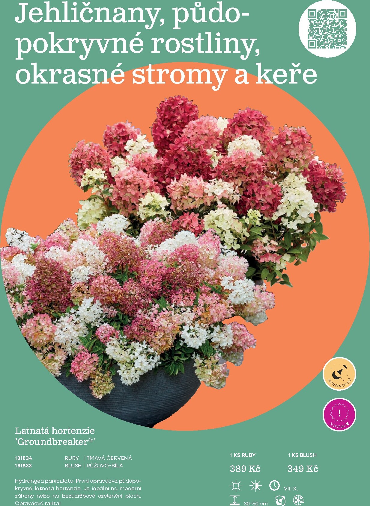 starkl - Starkl leták platný od neděle 01.03.2026 do čtvrtka 31.12.2026 - page: 27