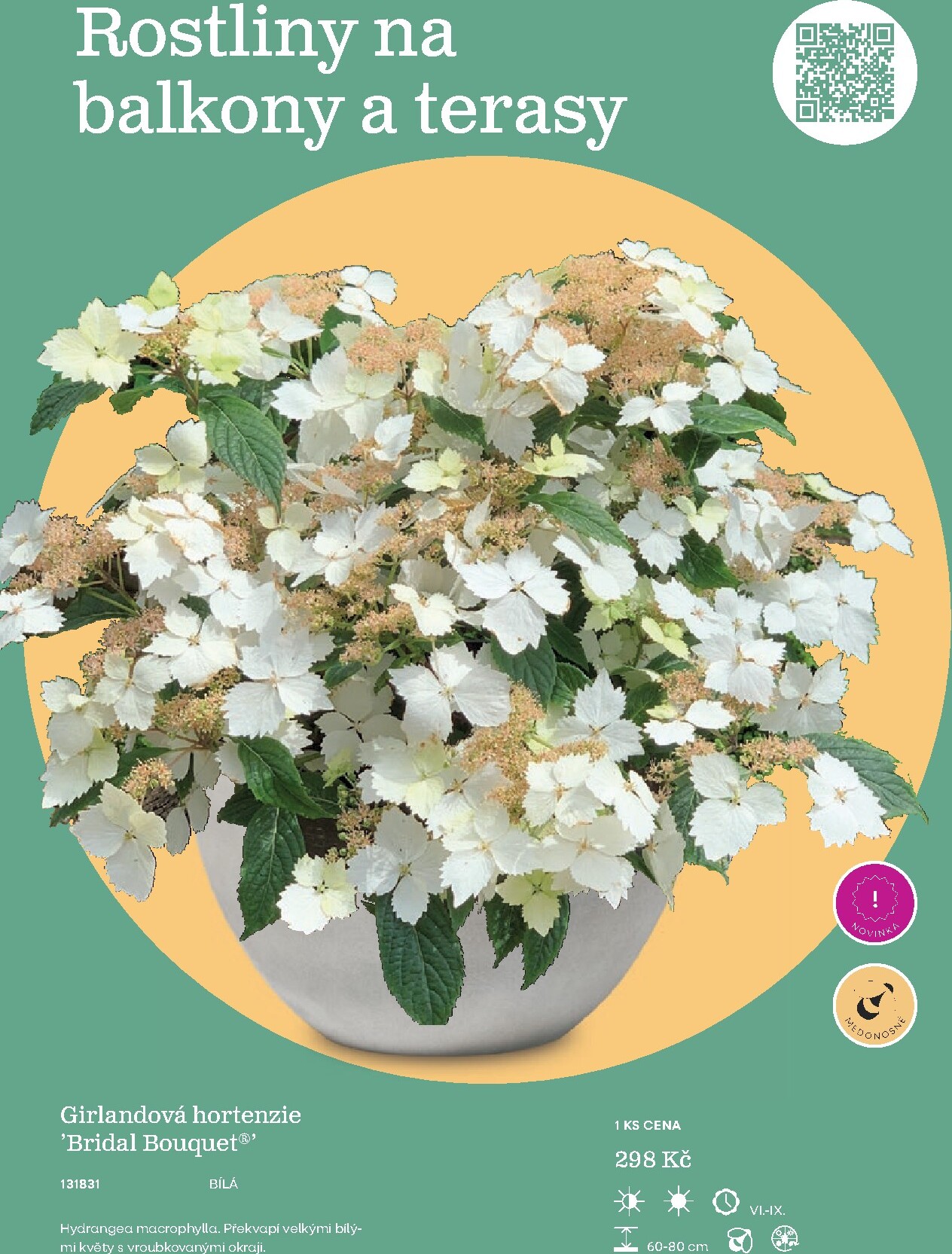 starkl - Starkl leták platný od neděle 01.03.2026 do čtvrtka 31.12.2026 - page: 7