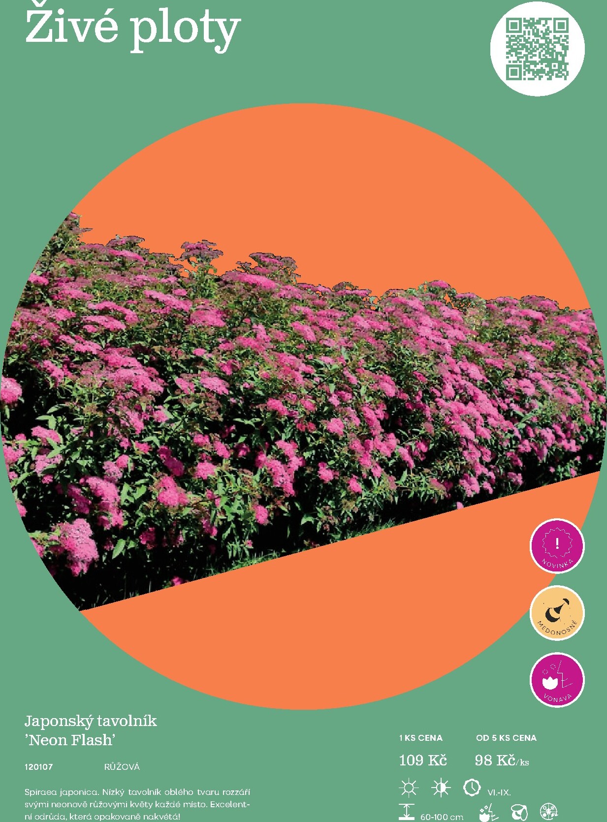 starkl - Starkl leták platný od neděle 01.03.2026 do čtvrtka 31.12.2026 - page: 49