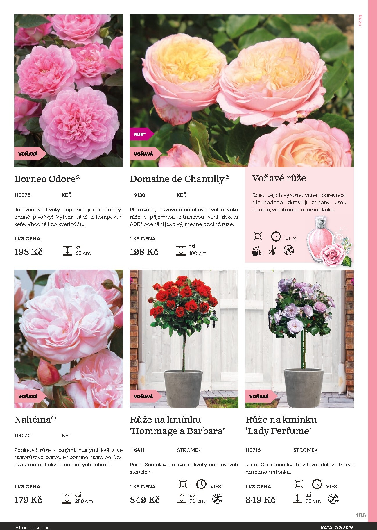 starkl - Starkl leták platný od neděle 01.03.2026 do čtvrtka 31.12.2026 - page: 105