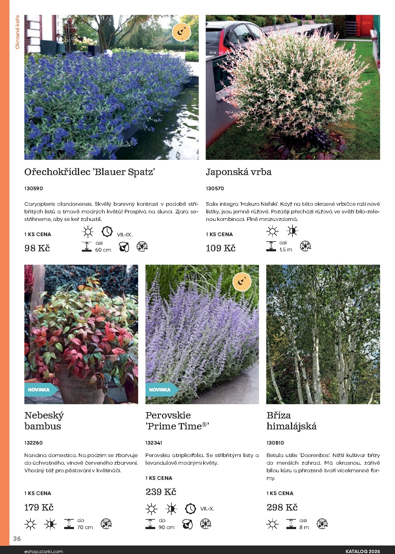 starkl - Starkl leták platný od neděle 01.03.2026 do čtvrtka 31.12.2026 - page: 36