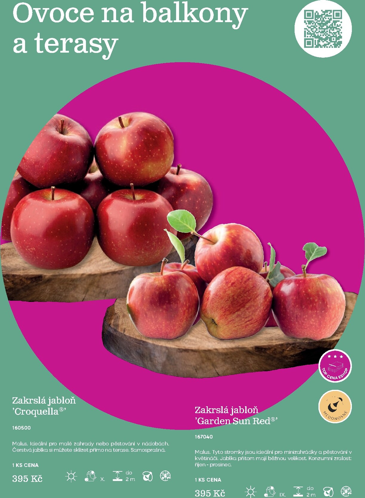 starkl - Starkl leták platný od neděle 01.03.2026 do čtvrtka 31.12.2026 - page: 13