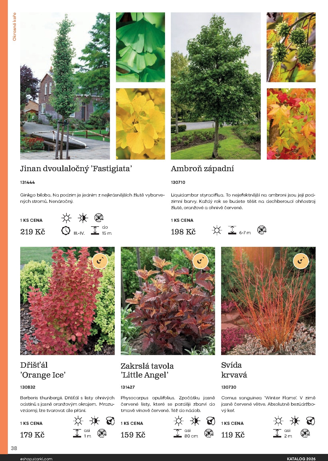 starkl - Starkl leták platný od neděle 01.03.2026 do čtvrtka 31.12.2026 - page: 38
