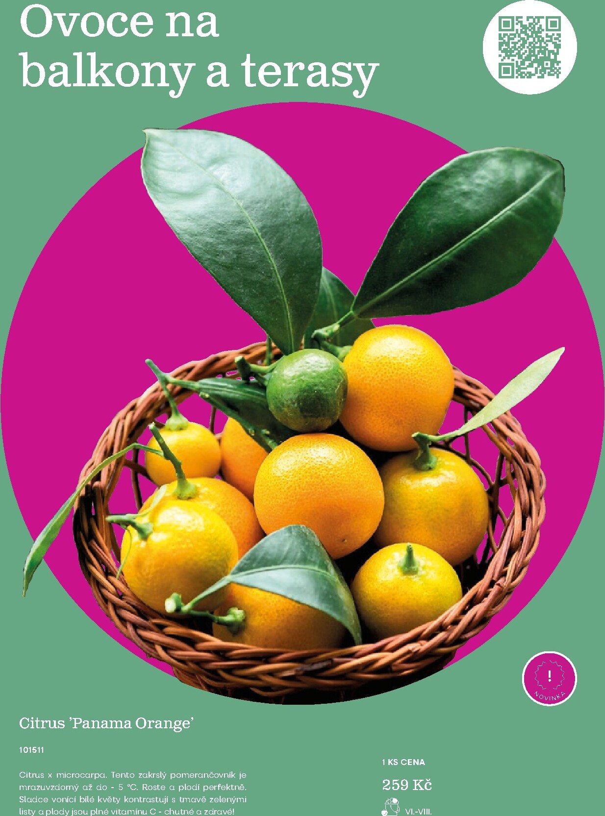 starkl - Starkl - Jaro leták platný od neděle 01.03.2026 do úterý 30.06.2026 - page: 39