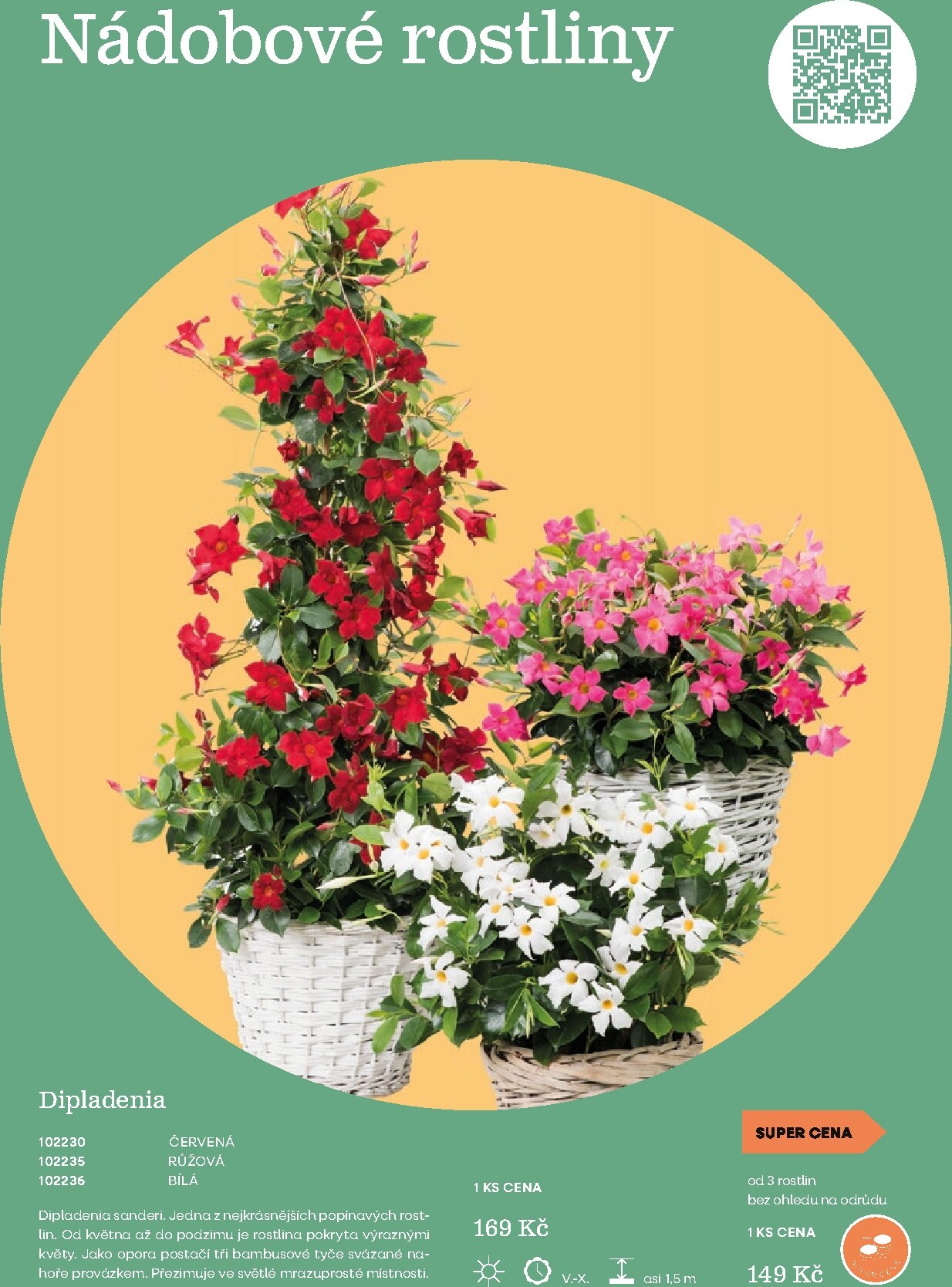 starkl - Starkl - Jaro leták platný od neděle 01.03.2026 do úterý 30.06.2026 - page: 23