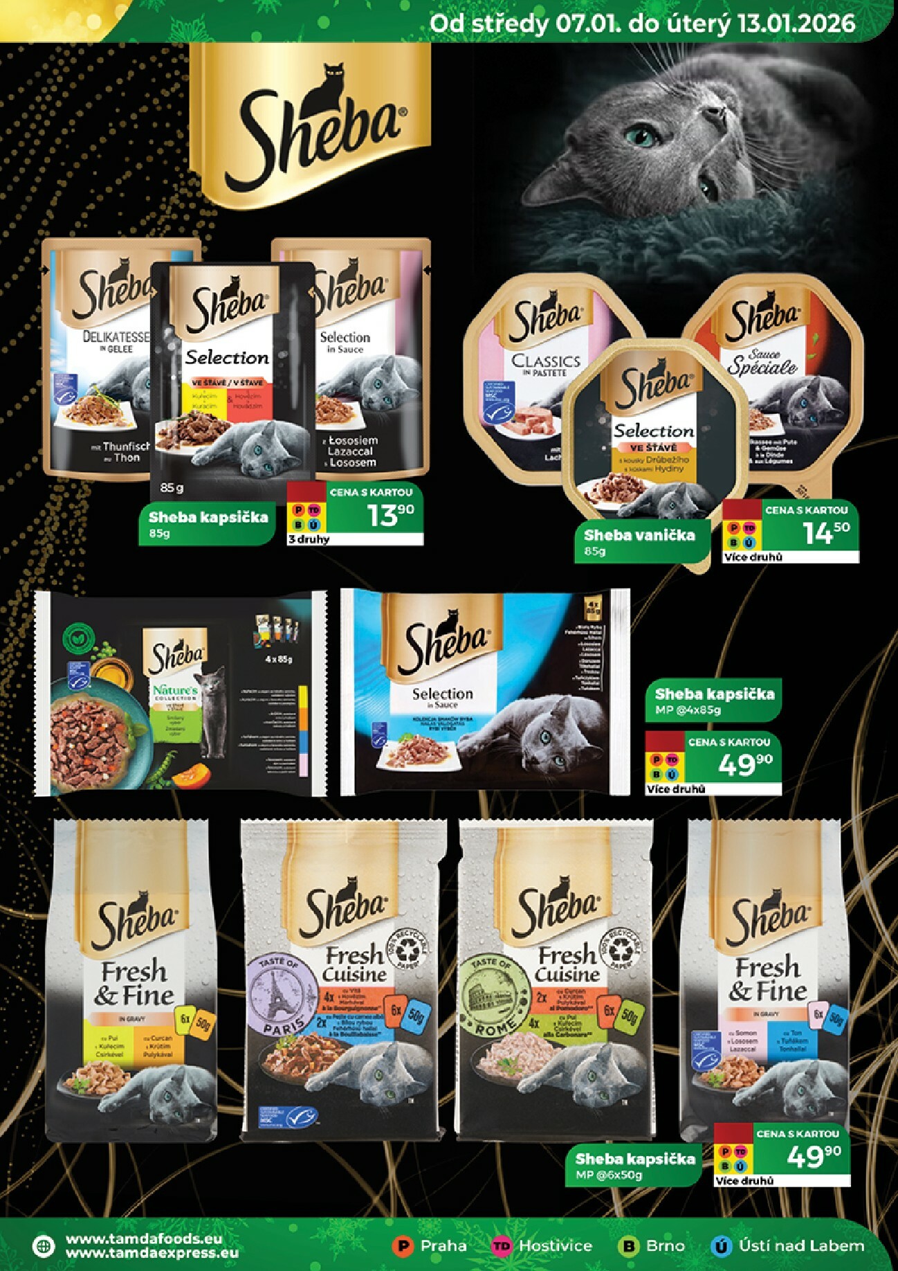 tamda-foods - Aktuální leták Tamda Foods od 07.01. do 13.01. - page: 41