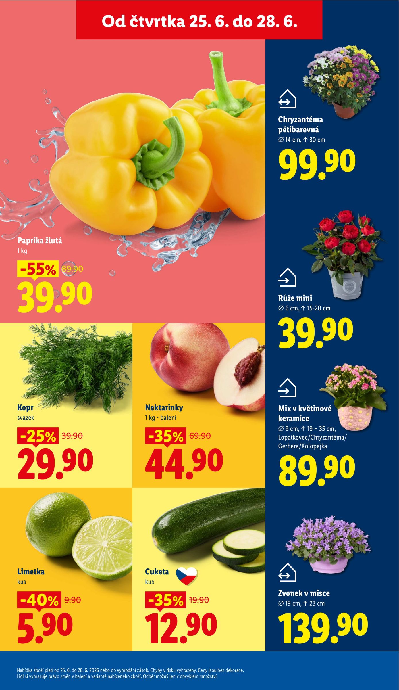 lidl - Lidl leták na příští týden od čtvrtka 25.06.2026 do neděle 28.06.2026 - page: 9