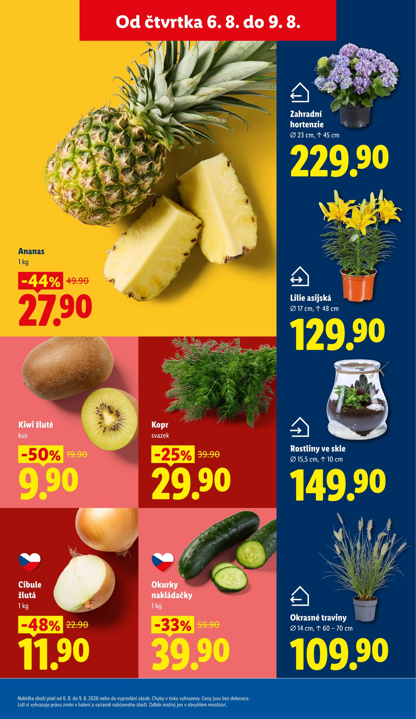 lidl - Lidl leták na příští týden od čtvrtka 06.08.2026 do neděle 09.08.2026 - page: 13