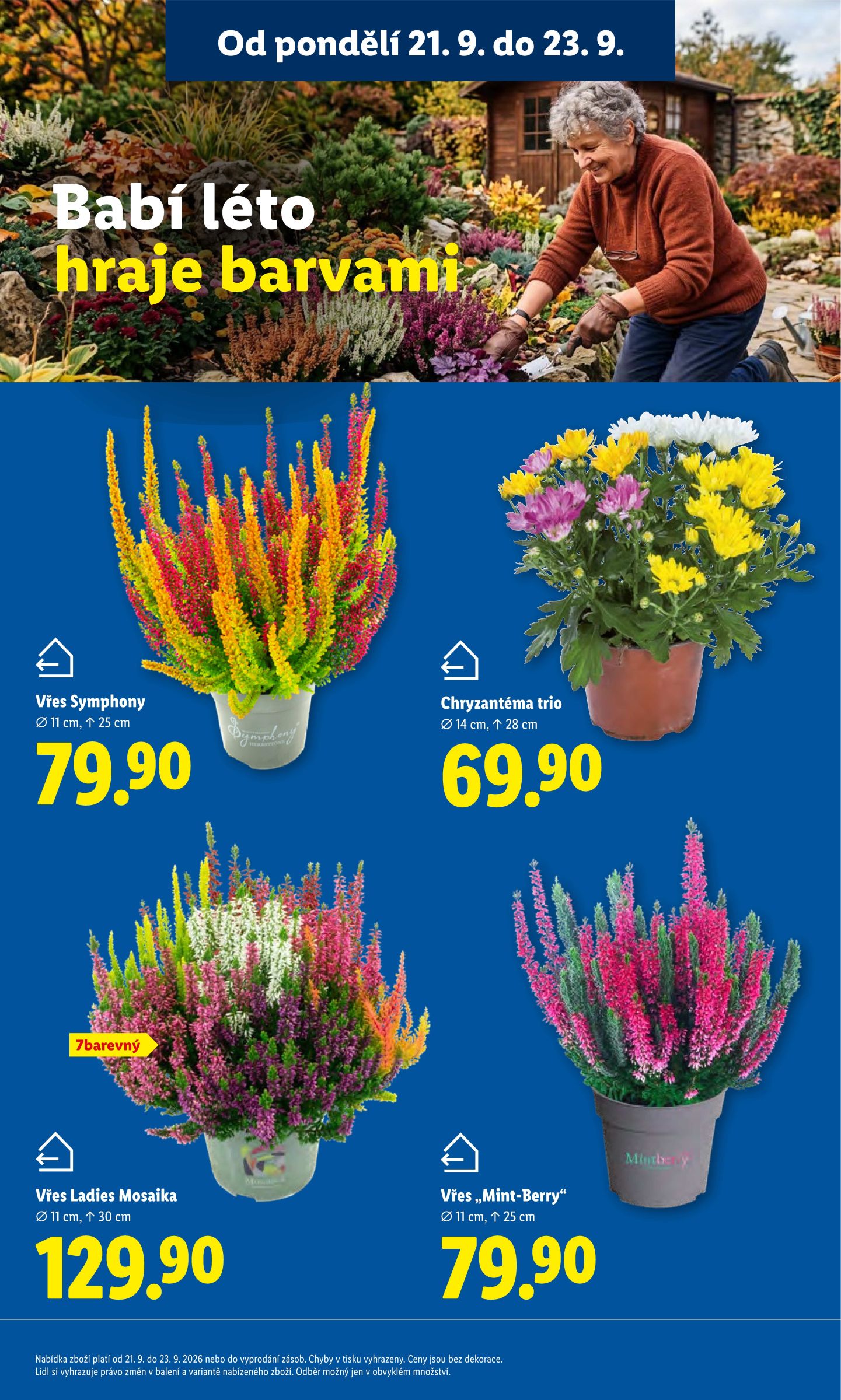lidl - Lidl leták na příští týden od pondělí 21.09.2026 do středy 23.09.2026 - page: 13