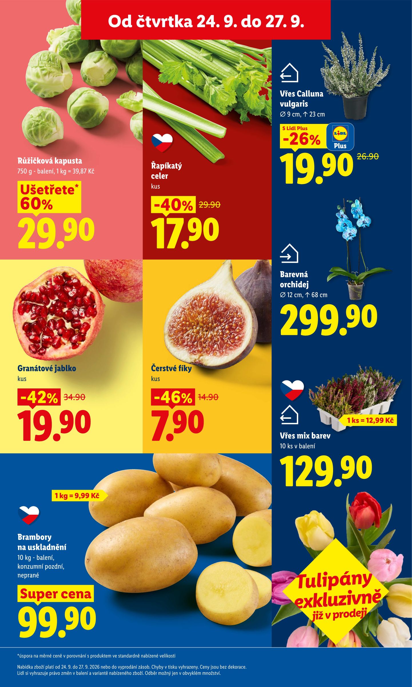 lidl - Lidl leták na příští týden od čtvrtka 24.09.2026 do neděle 27.09.2026 - page: 15