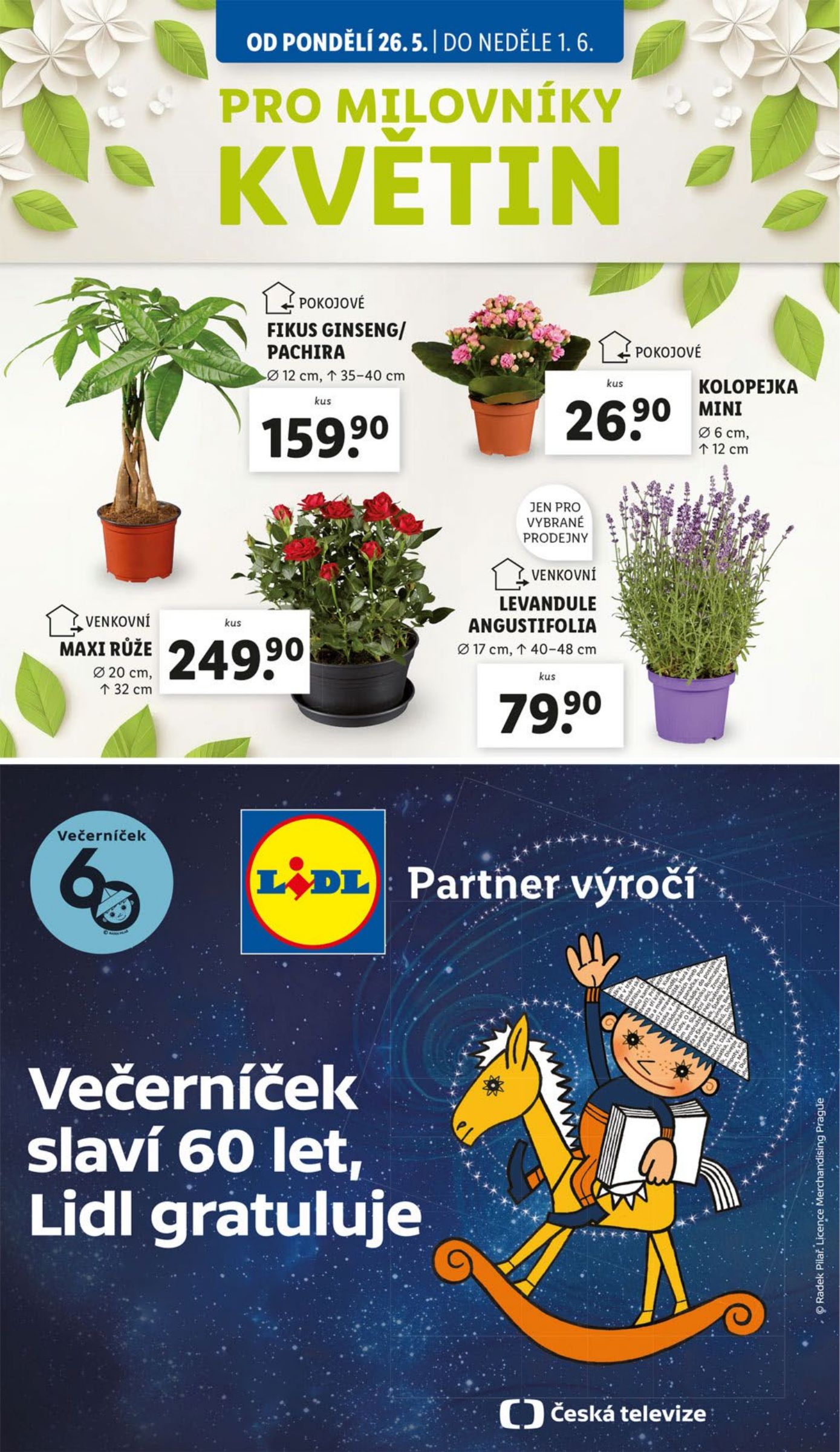 lidl - Leták Lidl od 26.05. do 28.05. - page: 35 lidl - Leták Lidl od 26.05. do 28.05. - page: 35