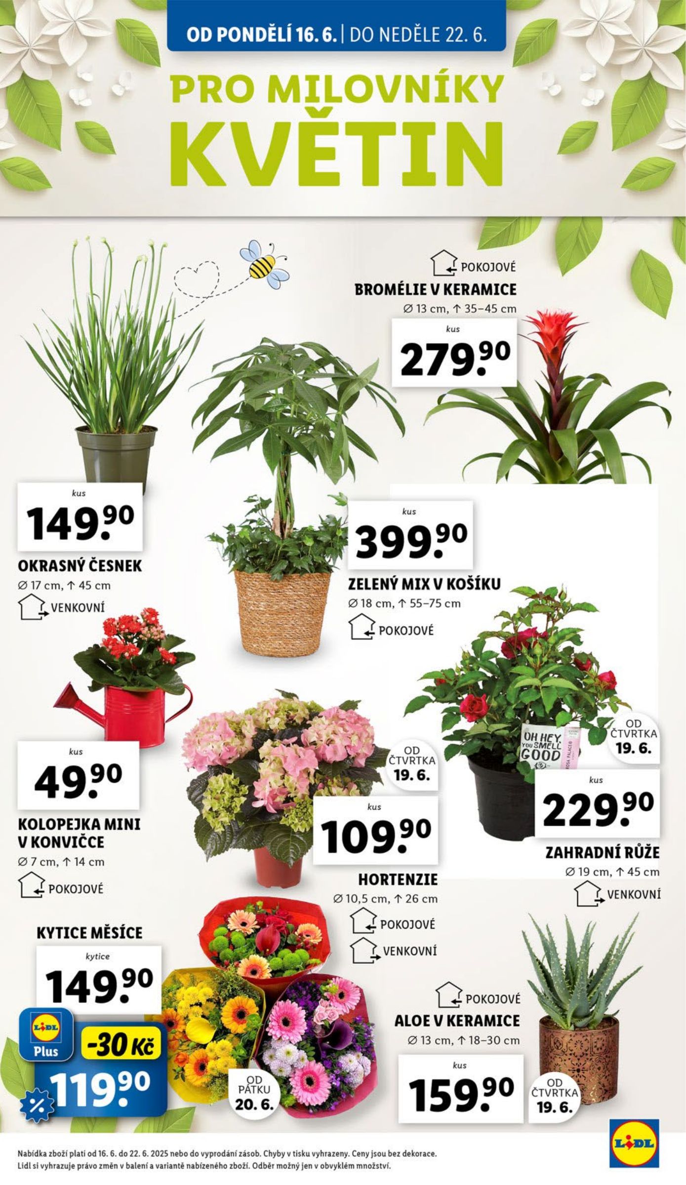 lidl - Leták Lidl od 16.06. do 18.06. - page: 30 lidl - Leták Lidl od 16.06. do 18.06. - page: 30