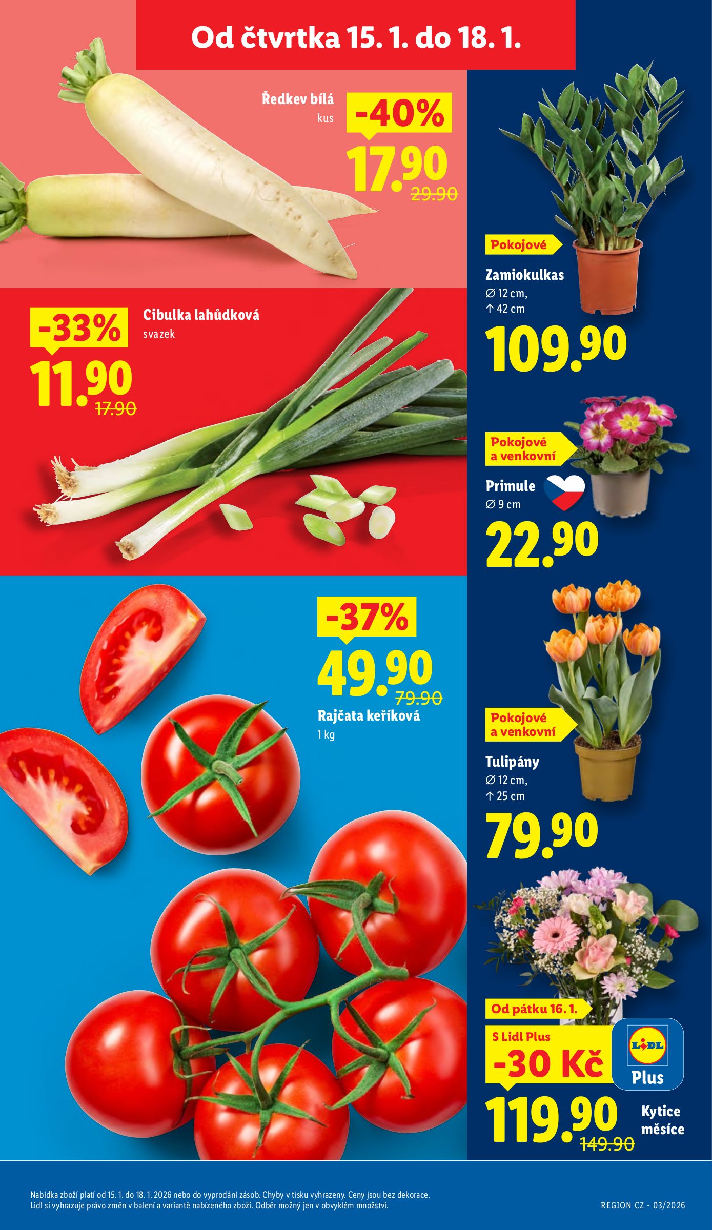 lidl - Aktuální leták Lidl od 15.01. do 18.01. - page: 9