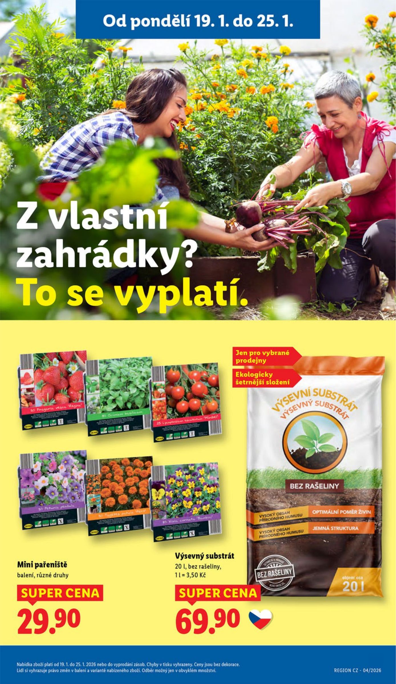 lidl - Aktuální leták Lidl od 19.01. do 21.01. - page: 31