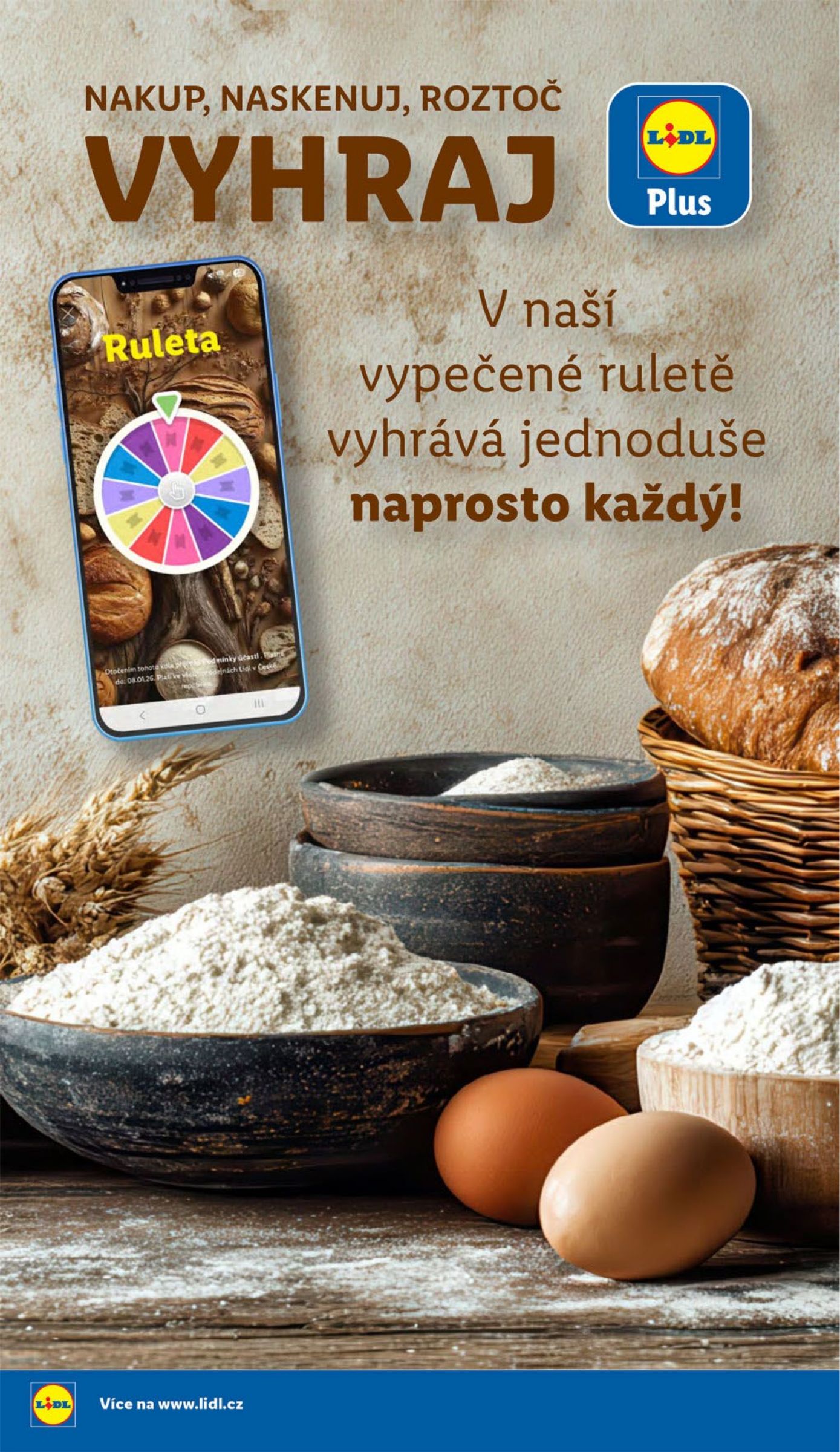 lidl - Lidl leták platný od 29.01. do 01.02. - page: 13