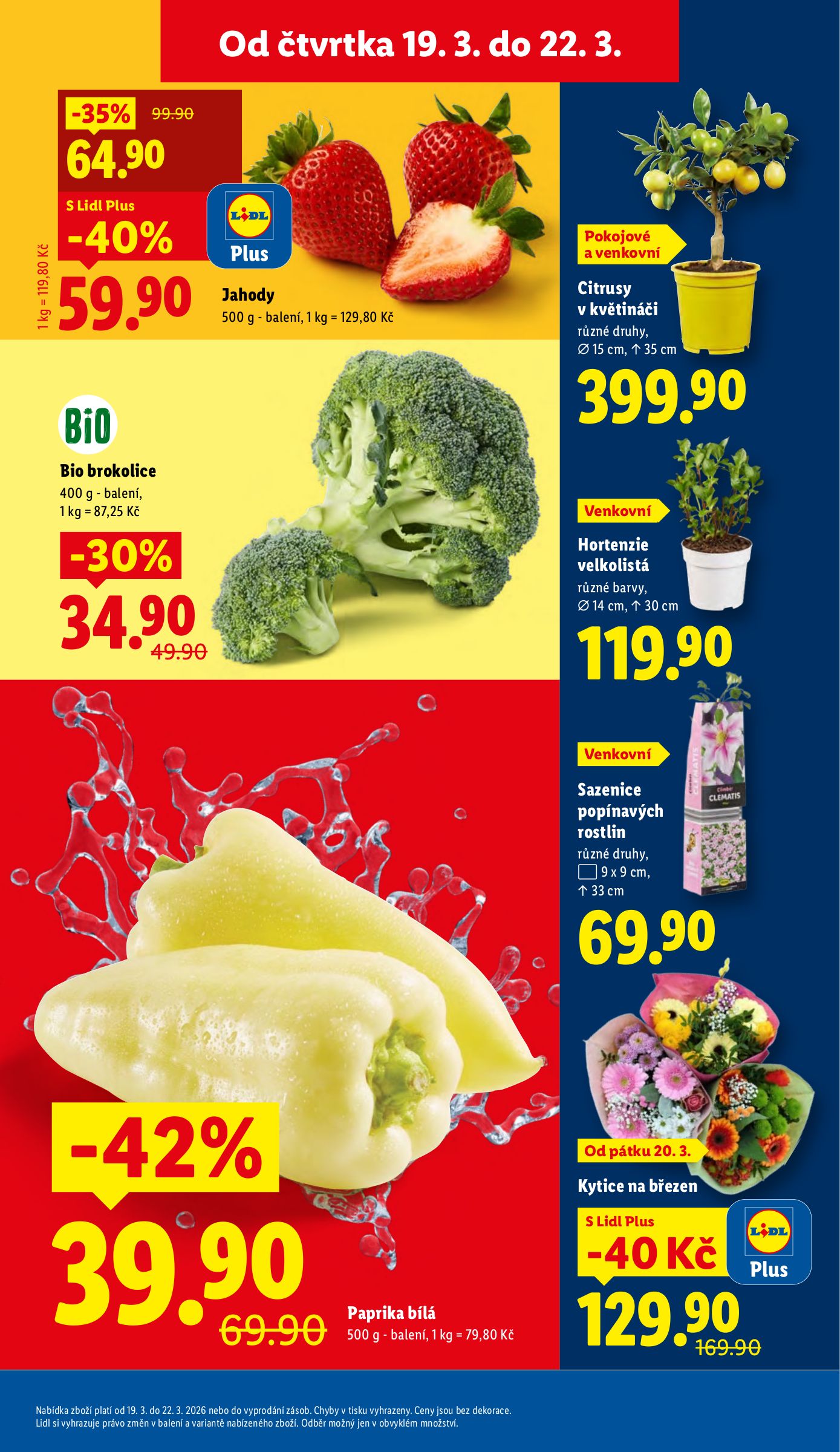 lidl - Lidl leták platný od čtvrtka 19.03.2026 do neděle 22.03.2026 - page: 11