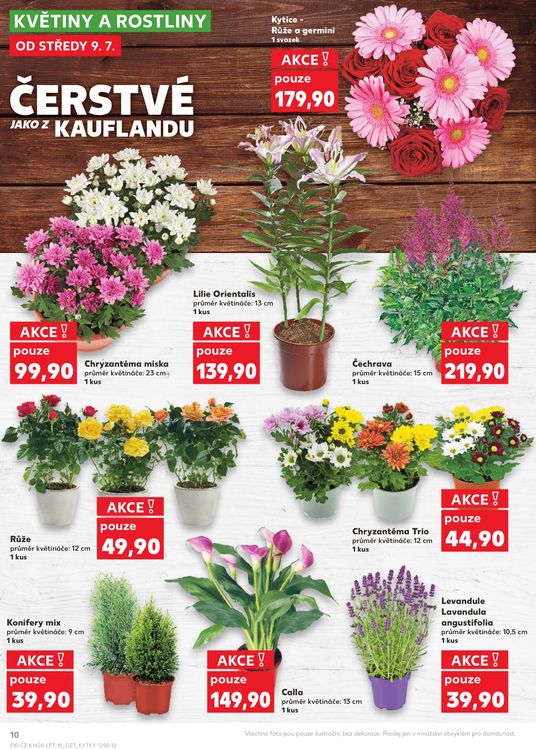 kaufland - Leták Kaufland Kolín od 09.07. do 15.07. - page: 10 kaufland - Leták Kaufland Kolín od 09.07. do 15.07. - page: 10