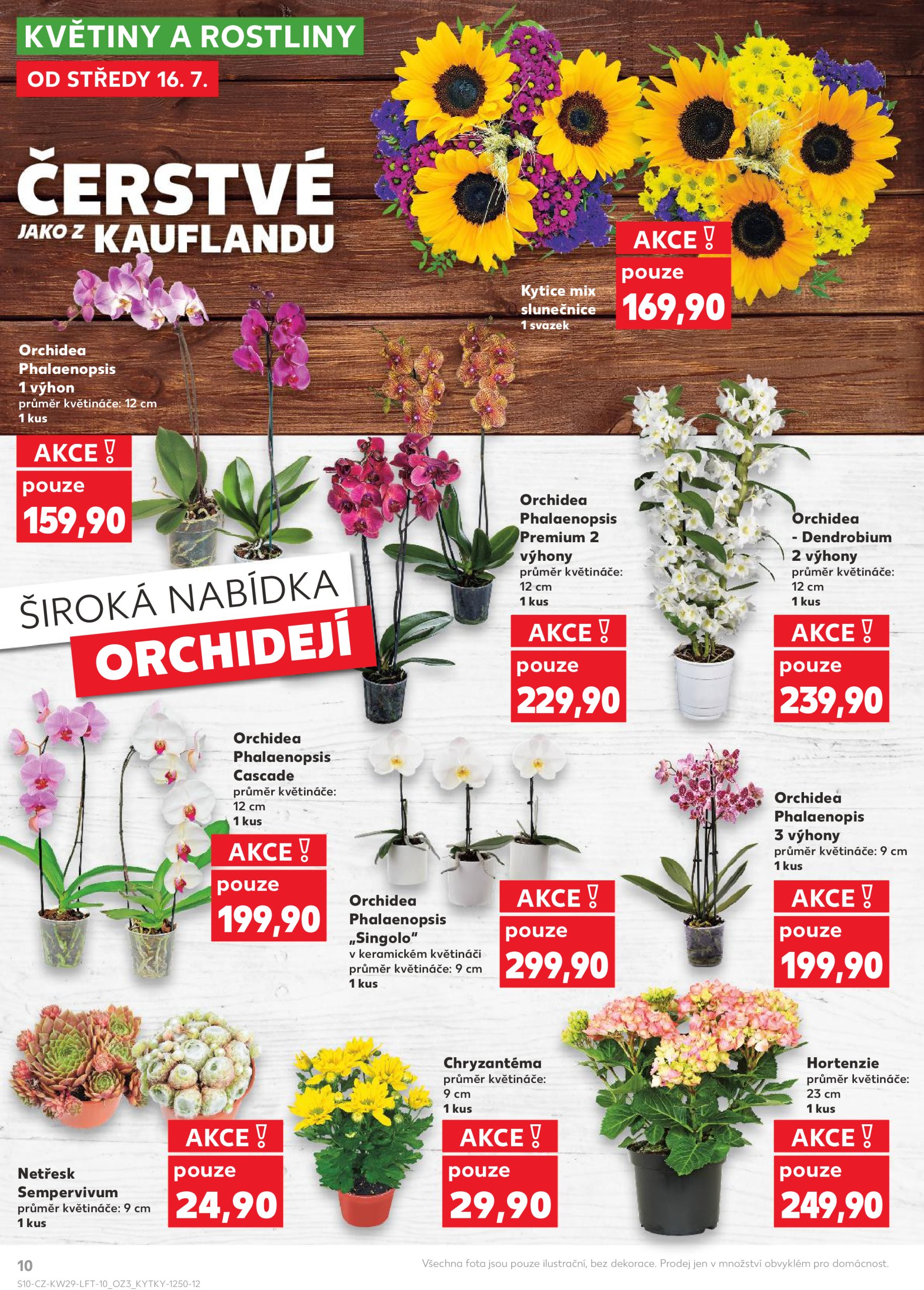 kaufland - Leták Kaufland Kolín od 16.07. do 22.07. - page: 10 kaufland - Leták Kaufland Kolín od 16.07. do 22.07. - page: 10