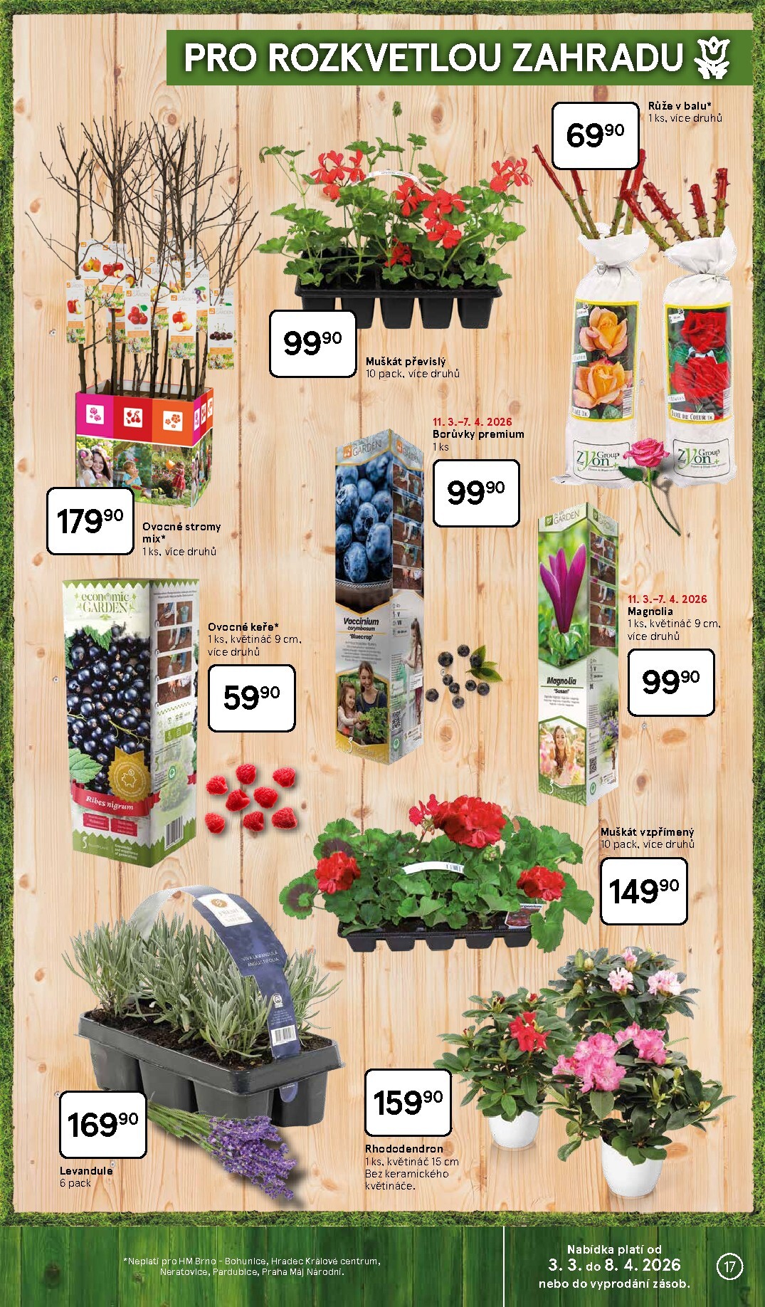 tesco - Tesco - Relax ve vaší zahradě leták platný od úterý 03.03.2026 do středy 08.04.2026 - page: 17