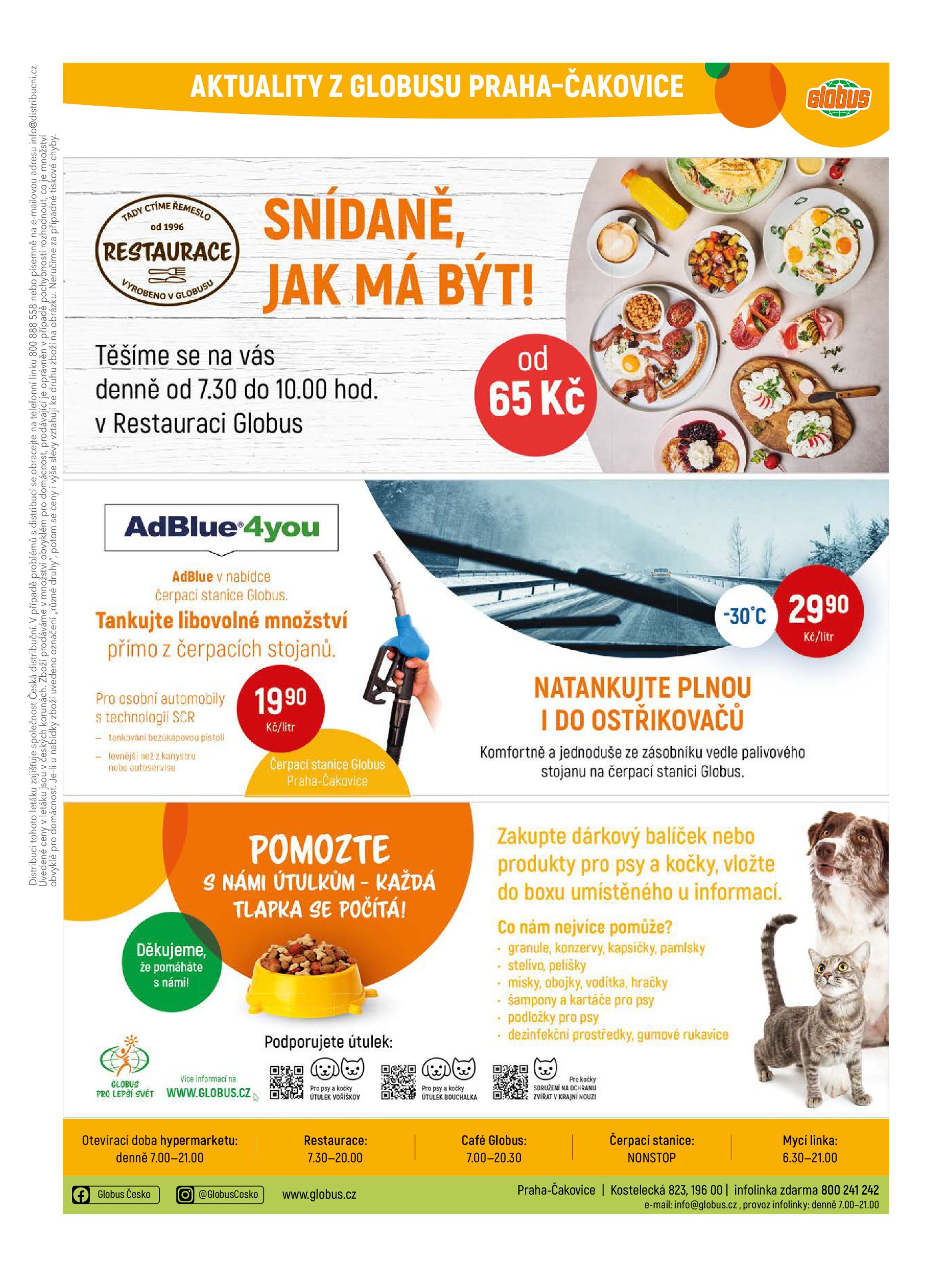 globus - Globus - Praha - Čakovice leták platný od středy 04.02.2026 do úterý 10.02.2026 - page: 33