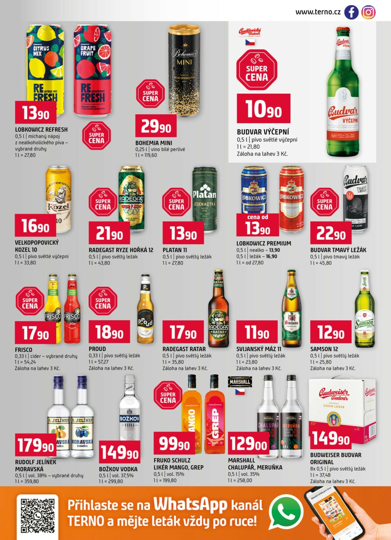 terno - Aktuální leták Terno od 21.01. do 27.01. - page: 13