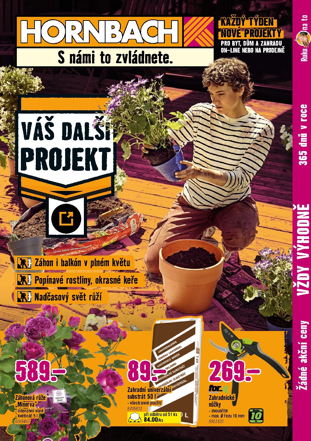 hornbach - Aktuální Hornbach - Letničky leták platný od středy 15.07.2026 do středy 29.07.2026