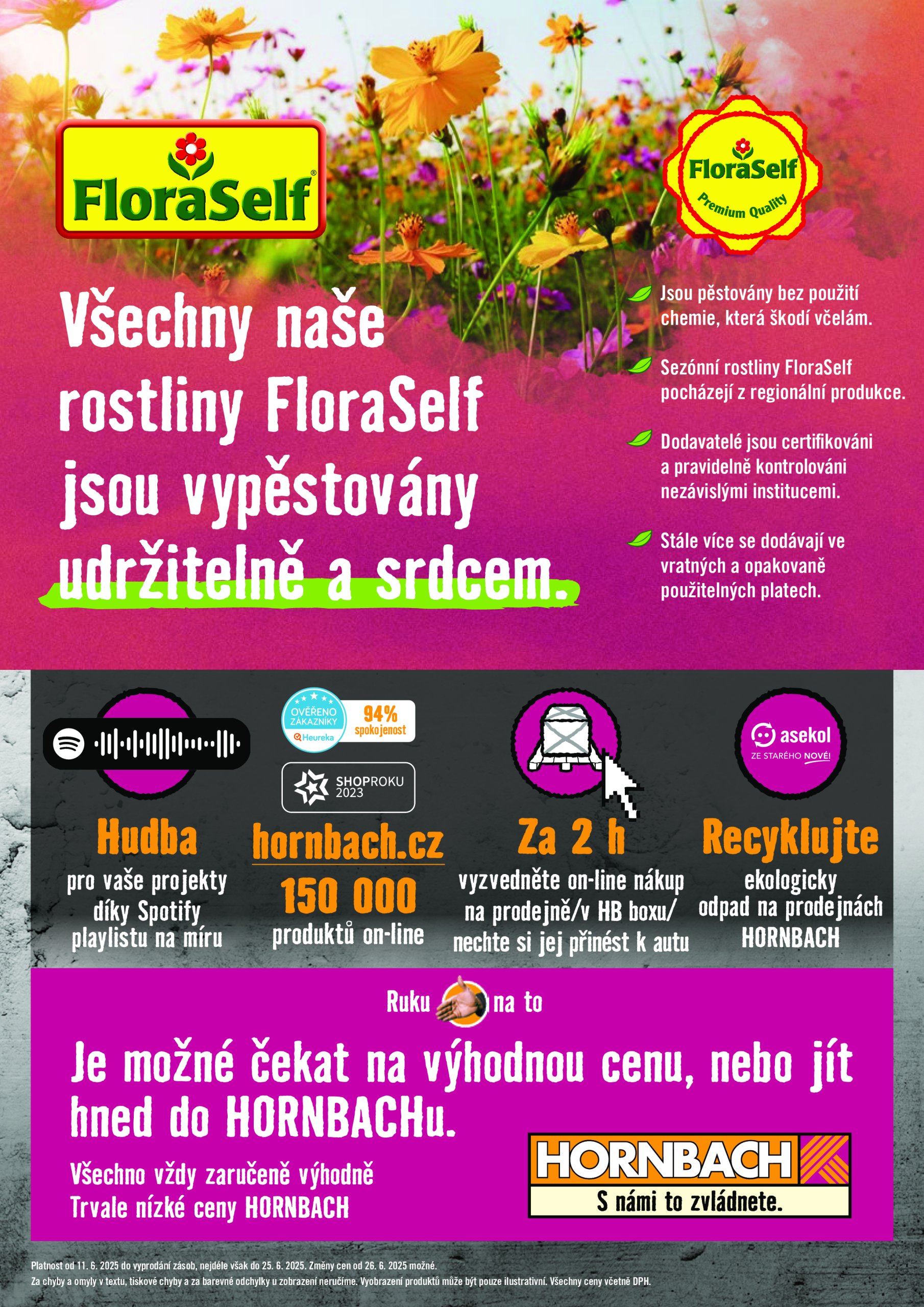 hornbach - Leták HORNBACH - Festival rostlin od 11.06. do 25.06. - page: 10