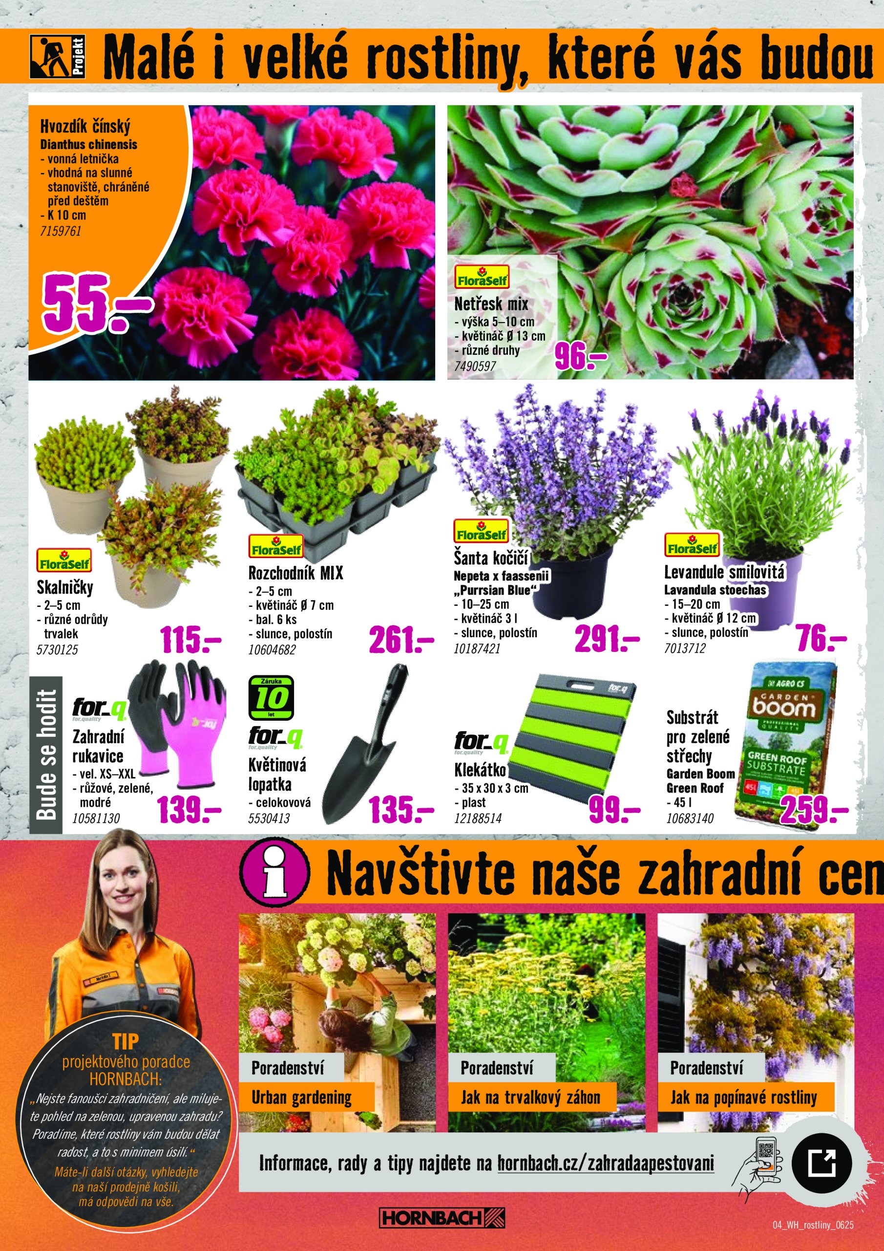 hornbach - Leták HORNBACH - Festival rostlin od 11.06. do 25.06. - page: 4