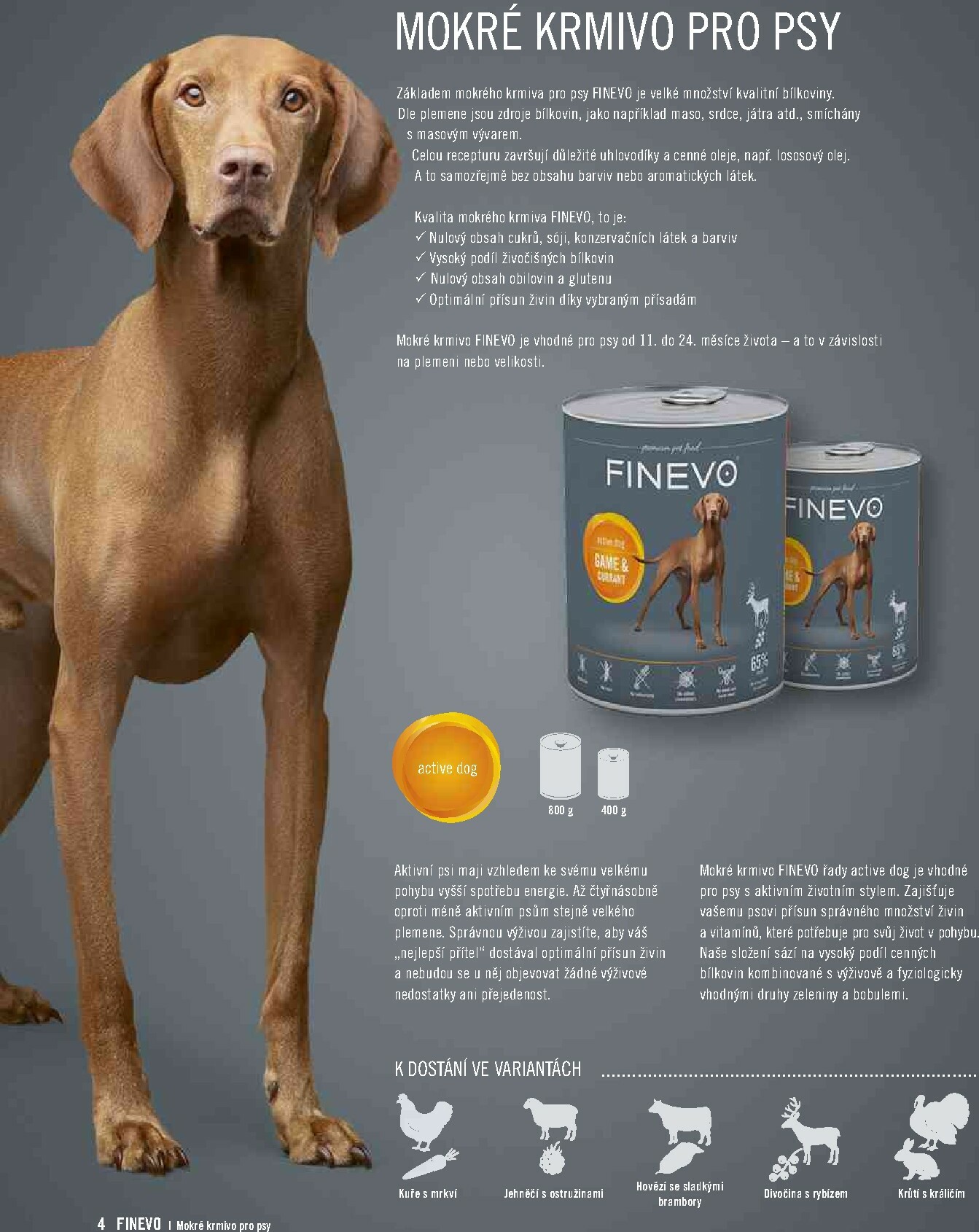 hornbach - Aktuální leták Hornbach - Finevo od 01.01. do 31.12. - page: 4