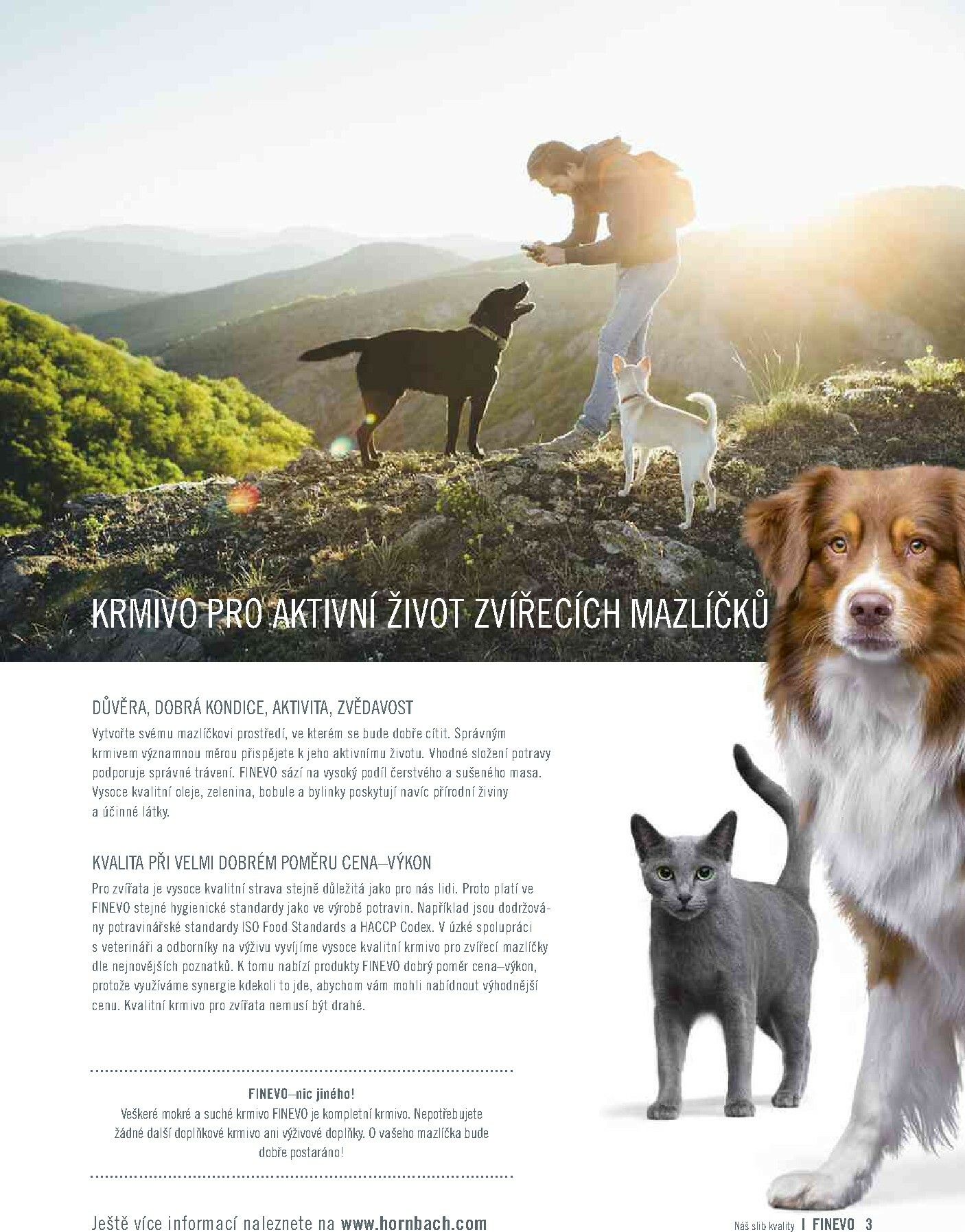 hornbach - Aktuální leták Hornbach - Finevo od 01.01. do 31.12. - page: 3