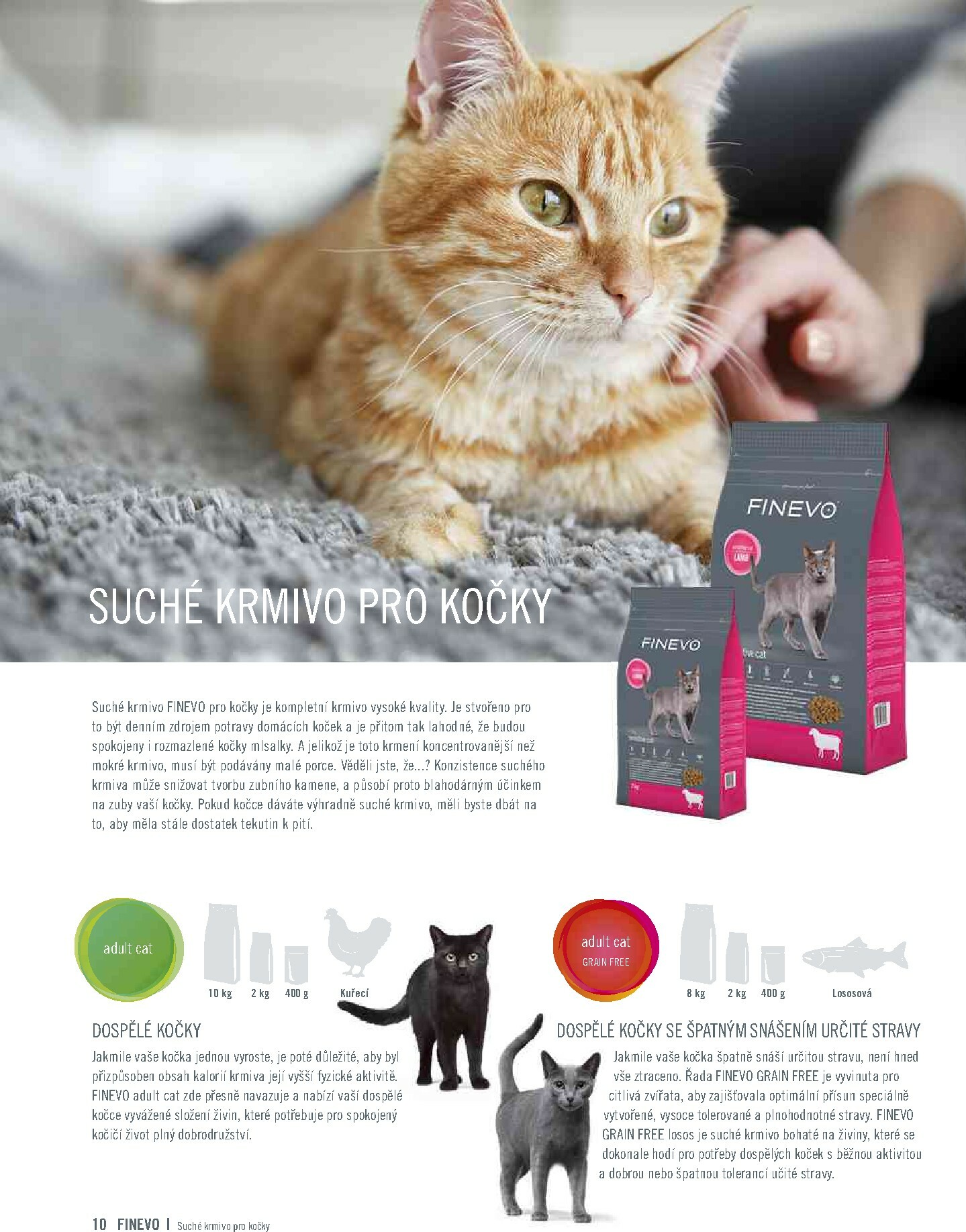 hornbach - Aktuální leták Hornbach - Finevo od 01.01. do 31.12. - page: 10