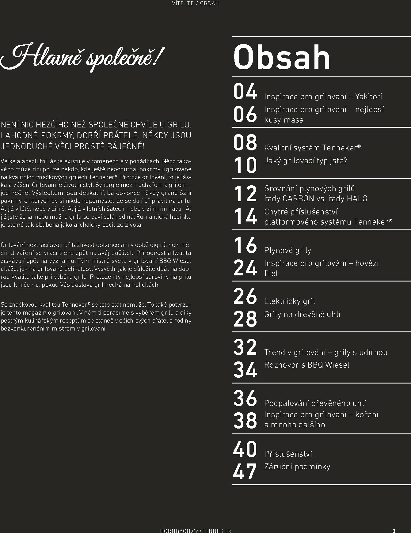 hornbach - Aktuální leták Hornbach - Tenneker - magazín o grilování od 01.01. do 31.12. - page: 3