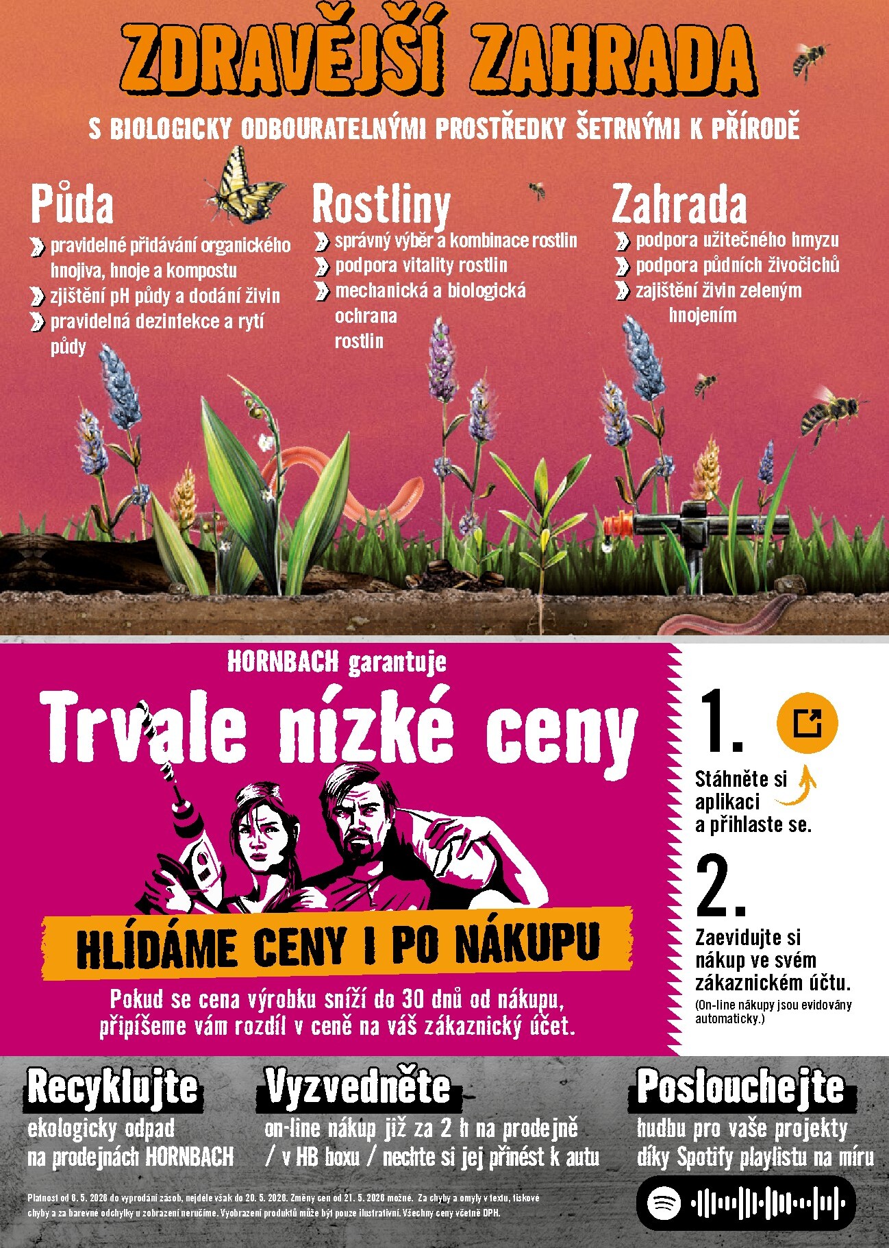 hornbach - Aktuální Hornbach - Trvalky leták platný od středy 06.05.2026 do středy 20.05.2026 - page: 10