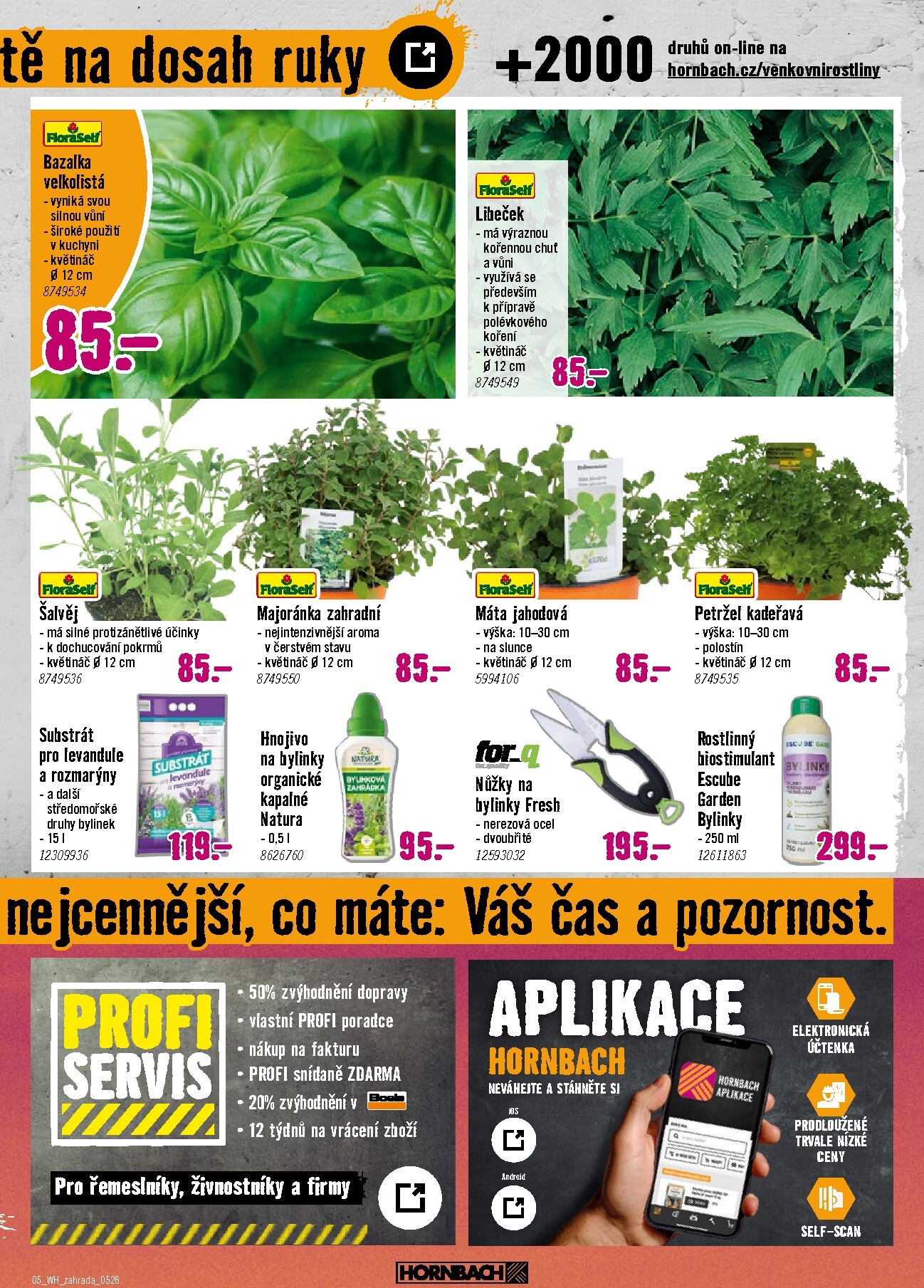 hornbach - Aktuální Hornbach - Trvalky leták platný od středy 06.05.2026 do středy 20.05.2026 - page: 5