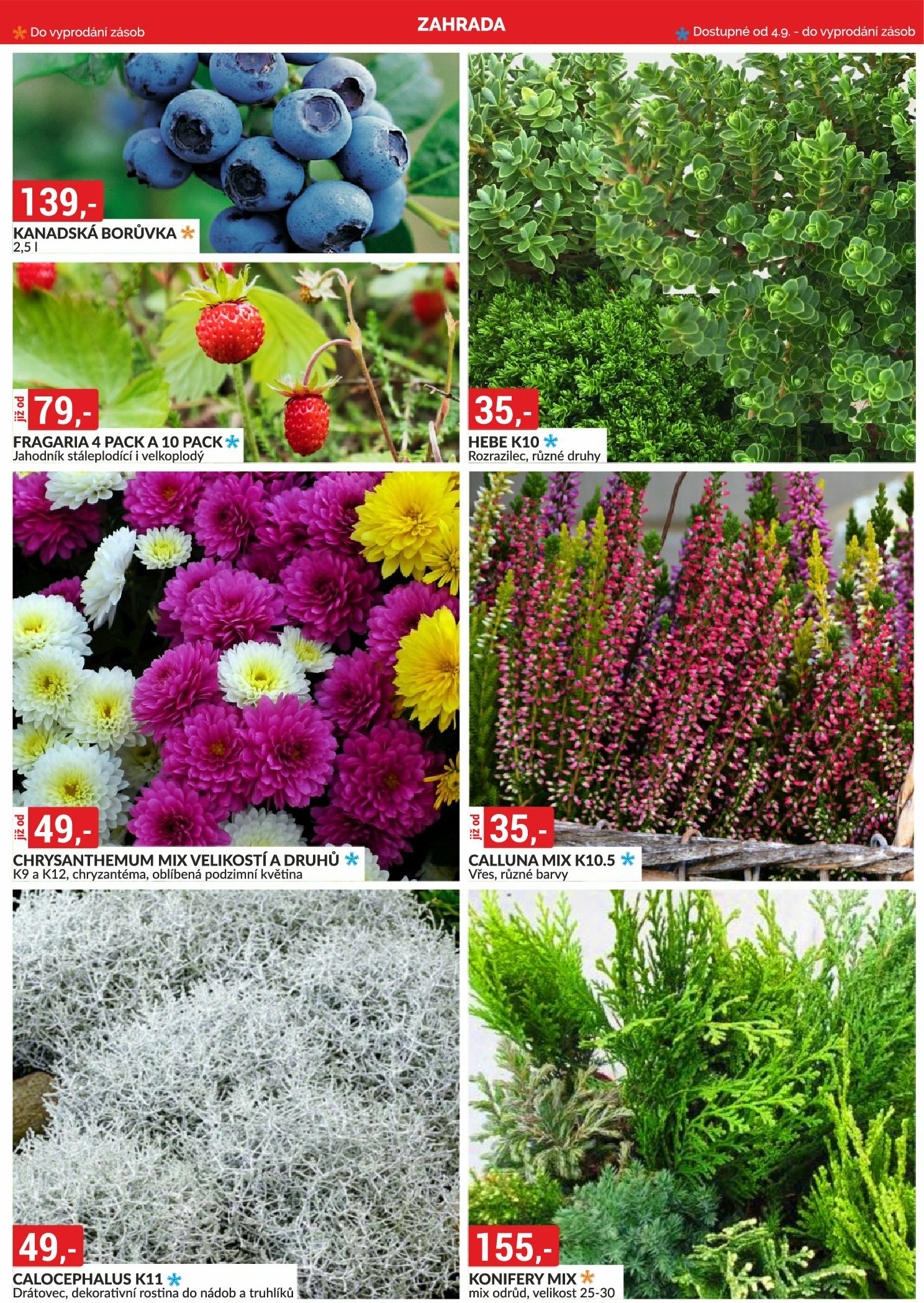 baumax - Leták Baumax od 01.09. do 30.09. - page: 52