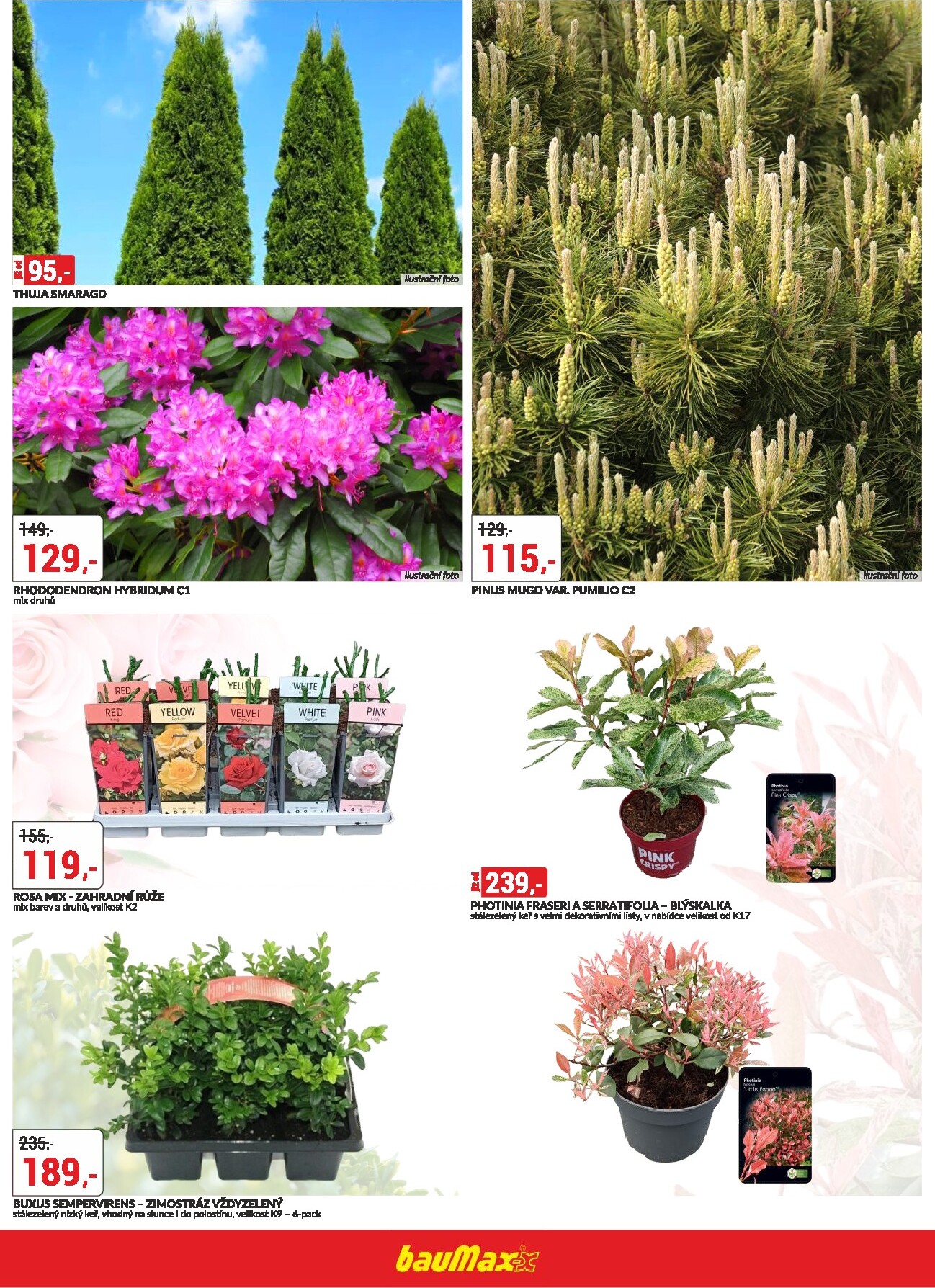 baumax - Baumax - Jaro v zahradě leták platný od čtvrtka 12.03.2026 do úterý 31.03.2026 - page: 2