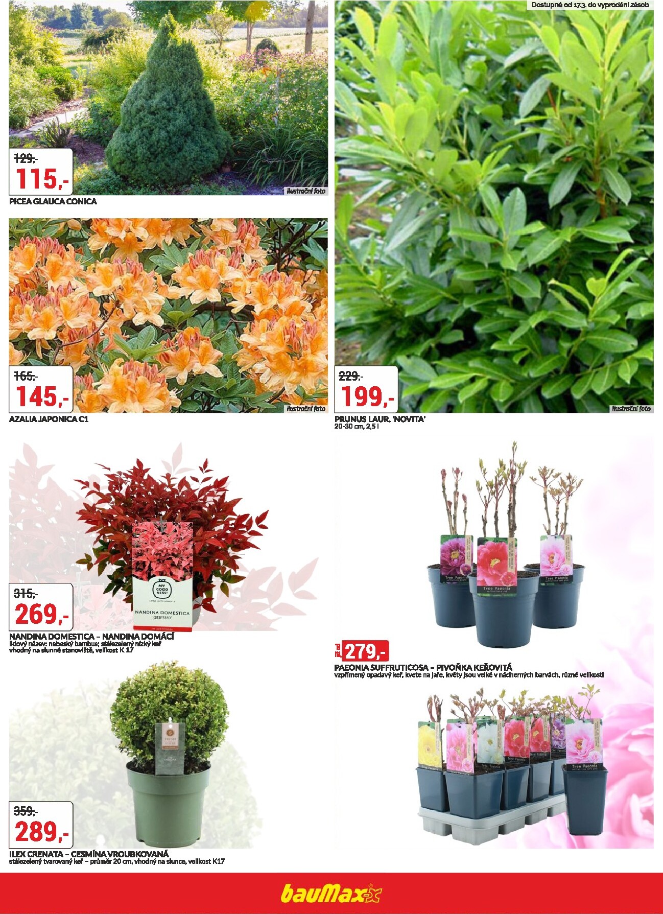 baumax - Baumax - Jaro v zahradě leták platný od čtvrtka 12.03.2026 do úterý 31.03.2026 - page: 3