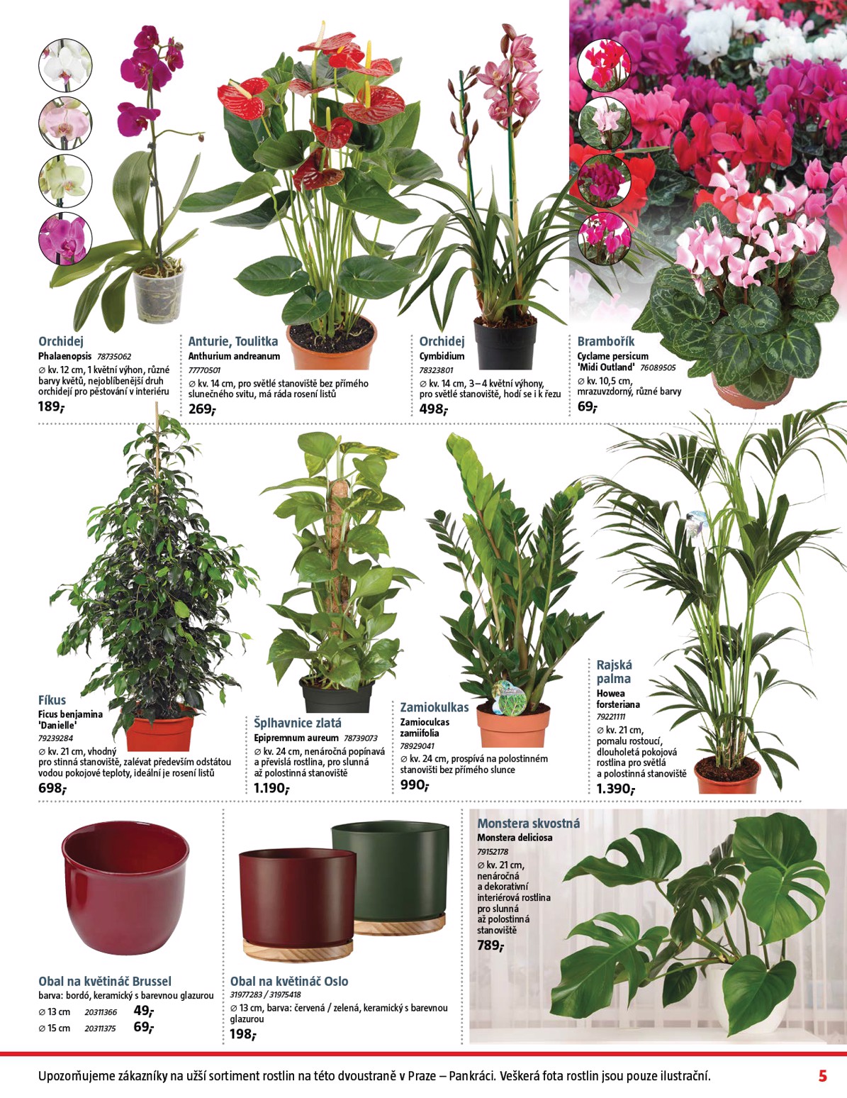 bauhaus - Aktuální leták Bauhaus od 31.10. do 04.12. - page: 5