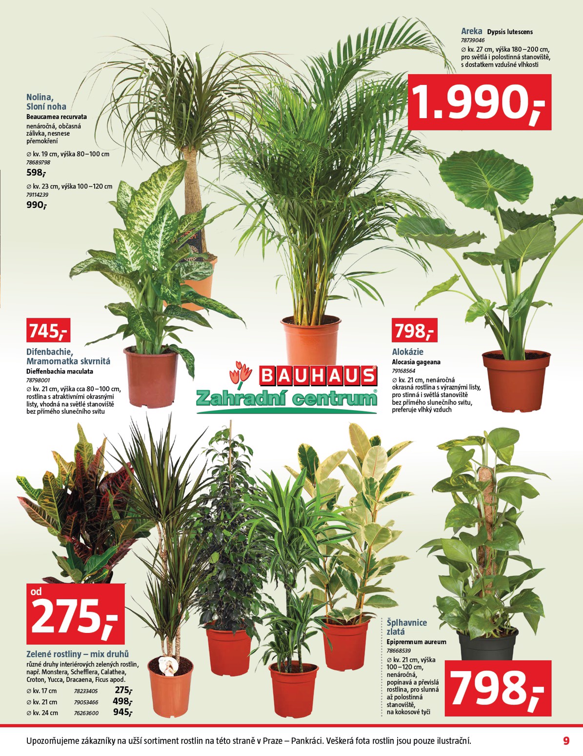 bauhaus - Aktuální leták Bauhaus od 09.01. do 05.02. - page: 9