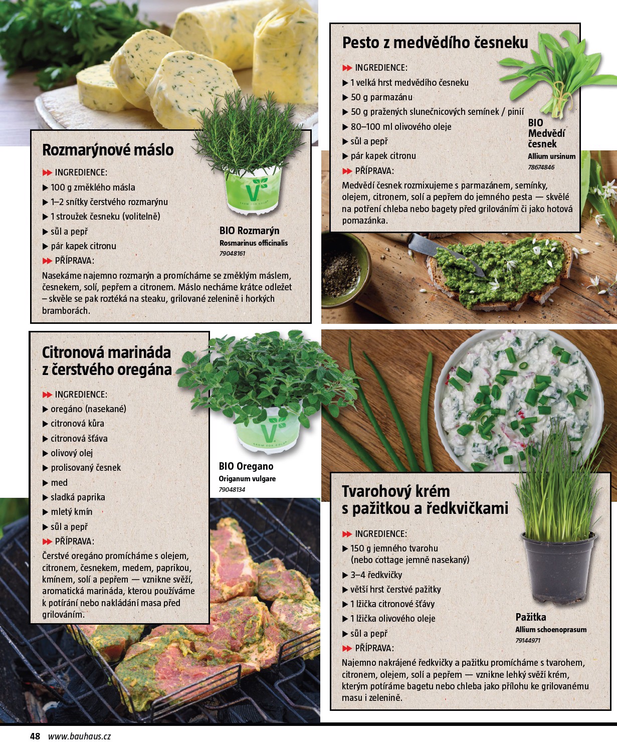 bauhaus - Bauhaus - Grily leták platný od úterý 17.03.2026 do pondělí 31.08.2026 - page: 48