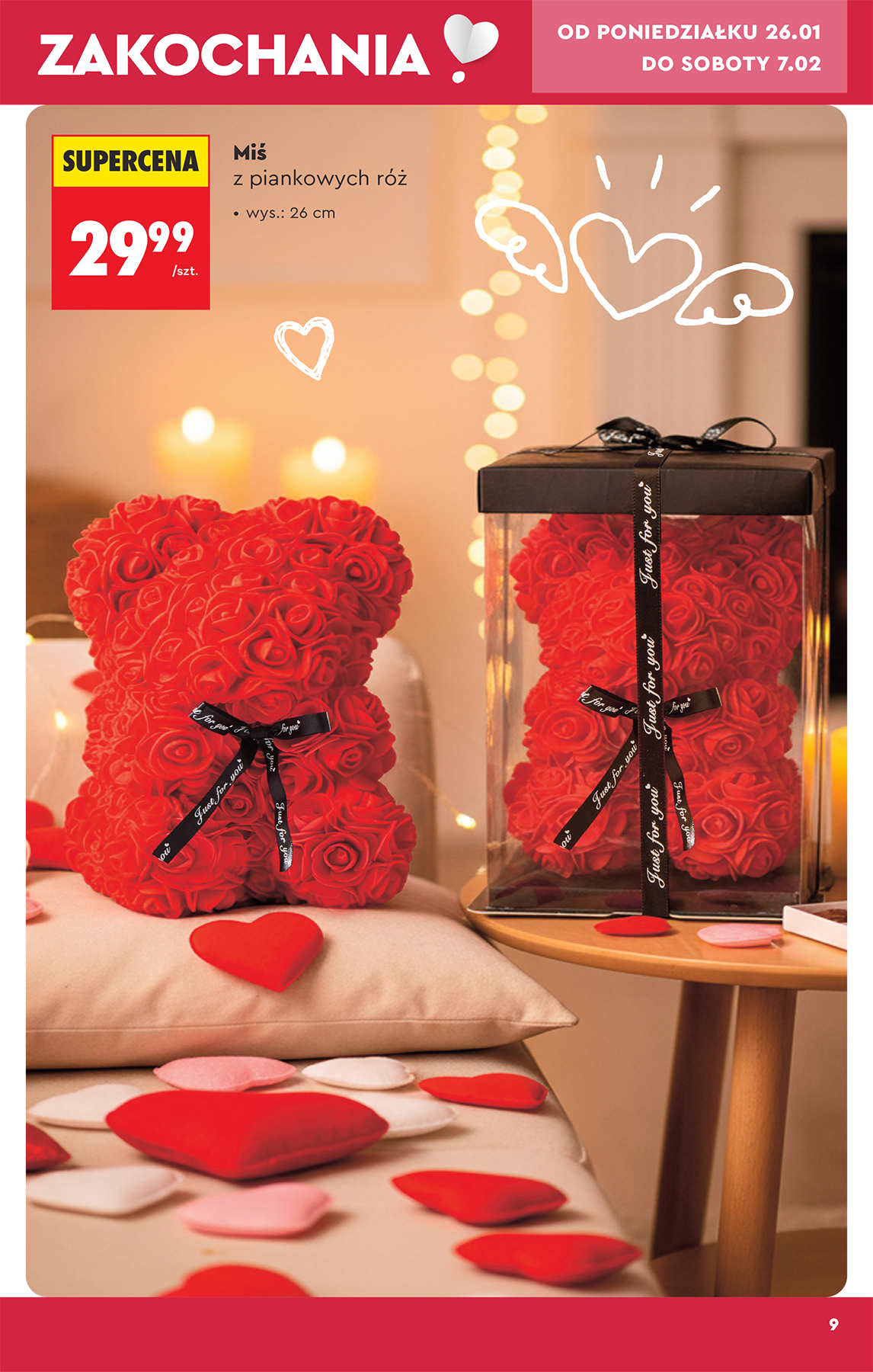 biedronka - Biedronka - Hity i inspiracje leták platný od 23.01. do 28.02. - page: 11