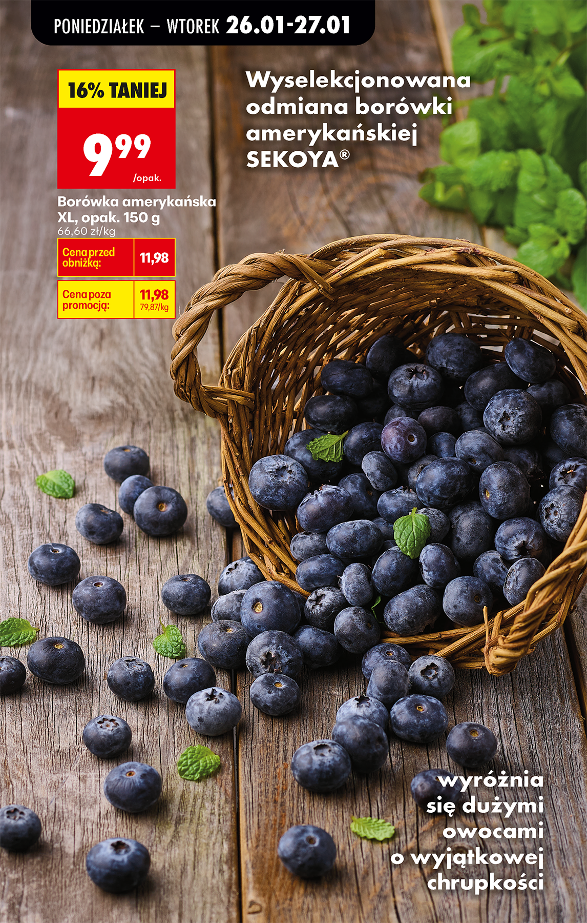 biedronka - Biedronka leták platný od 26.01. do 31.01. - page: 19