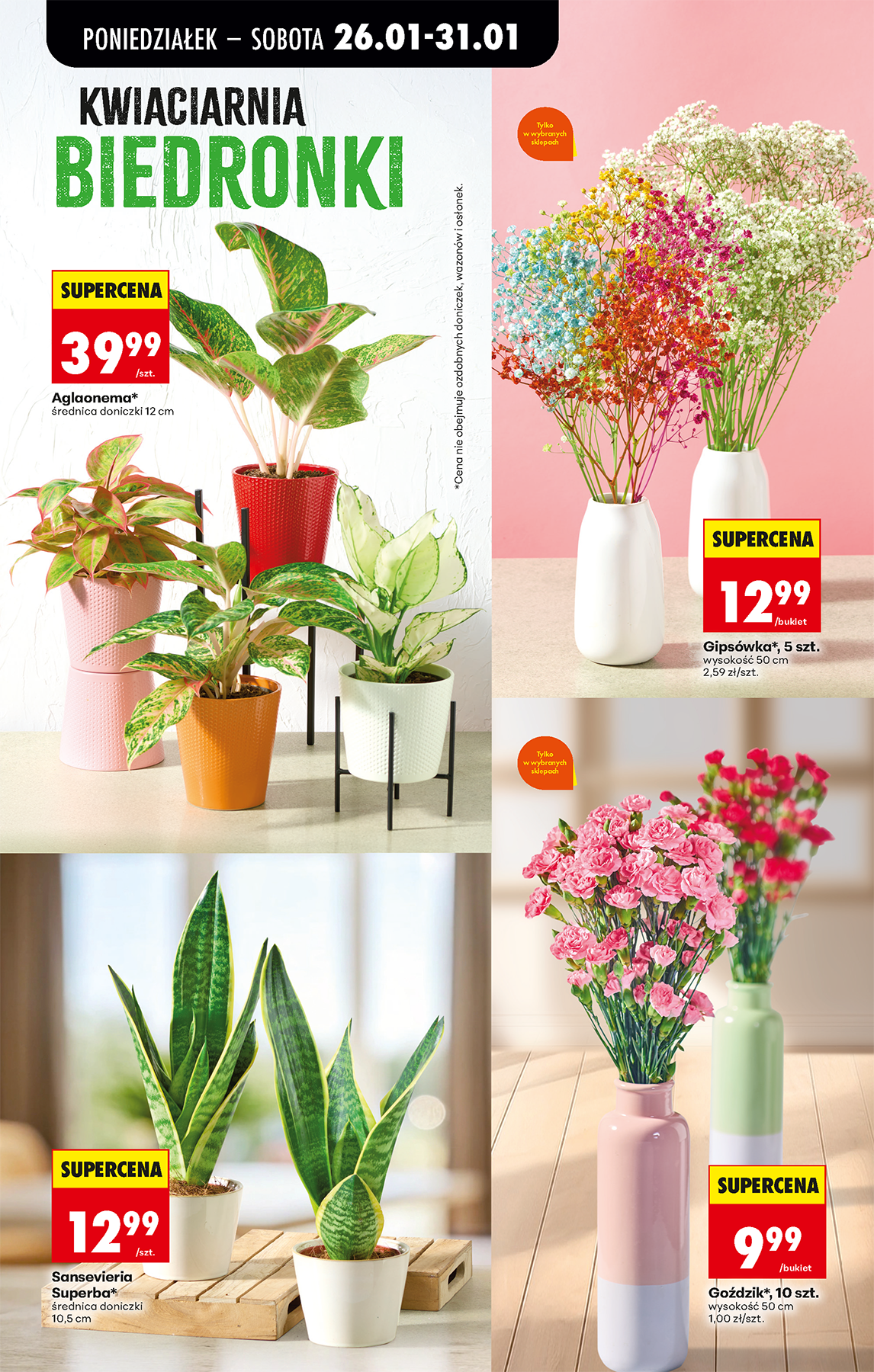 biedronka - Biedronka leták platný od 26.01. do 31.01. - page: 25