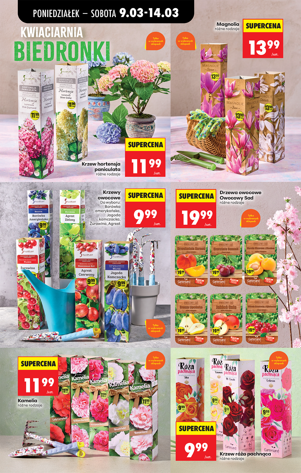 biedronka - Biedronka leták platný od pondělí 09.03.2026 do soboty 14.03.2026 - page: 76