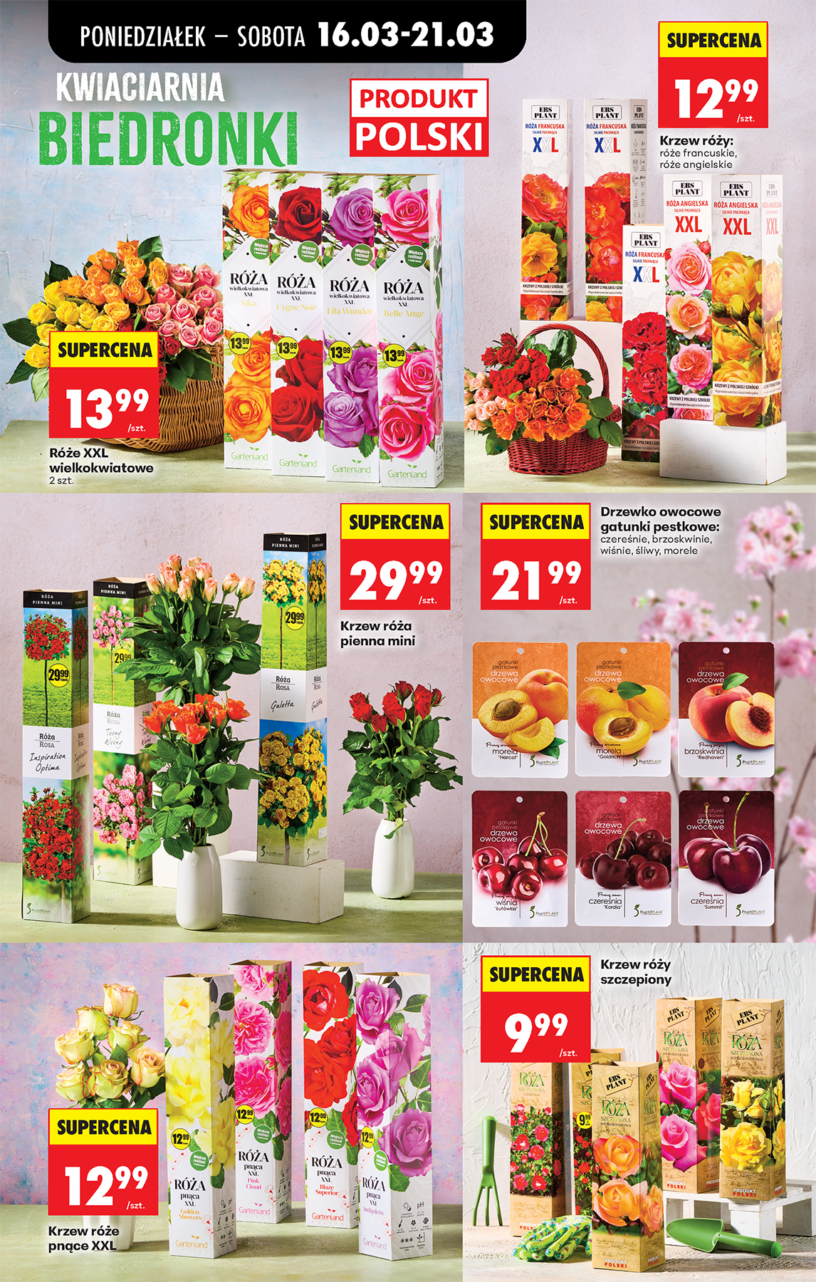 biedronka - Biedronka leták platný od pondělí 16.03.2026 do soboty 21.03.2026 - page: 79