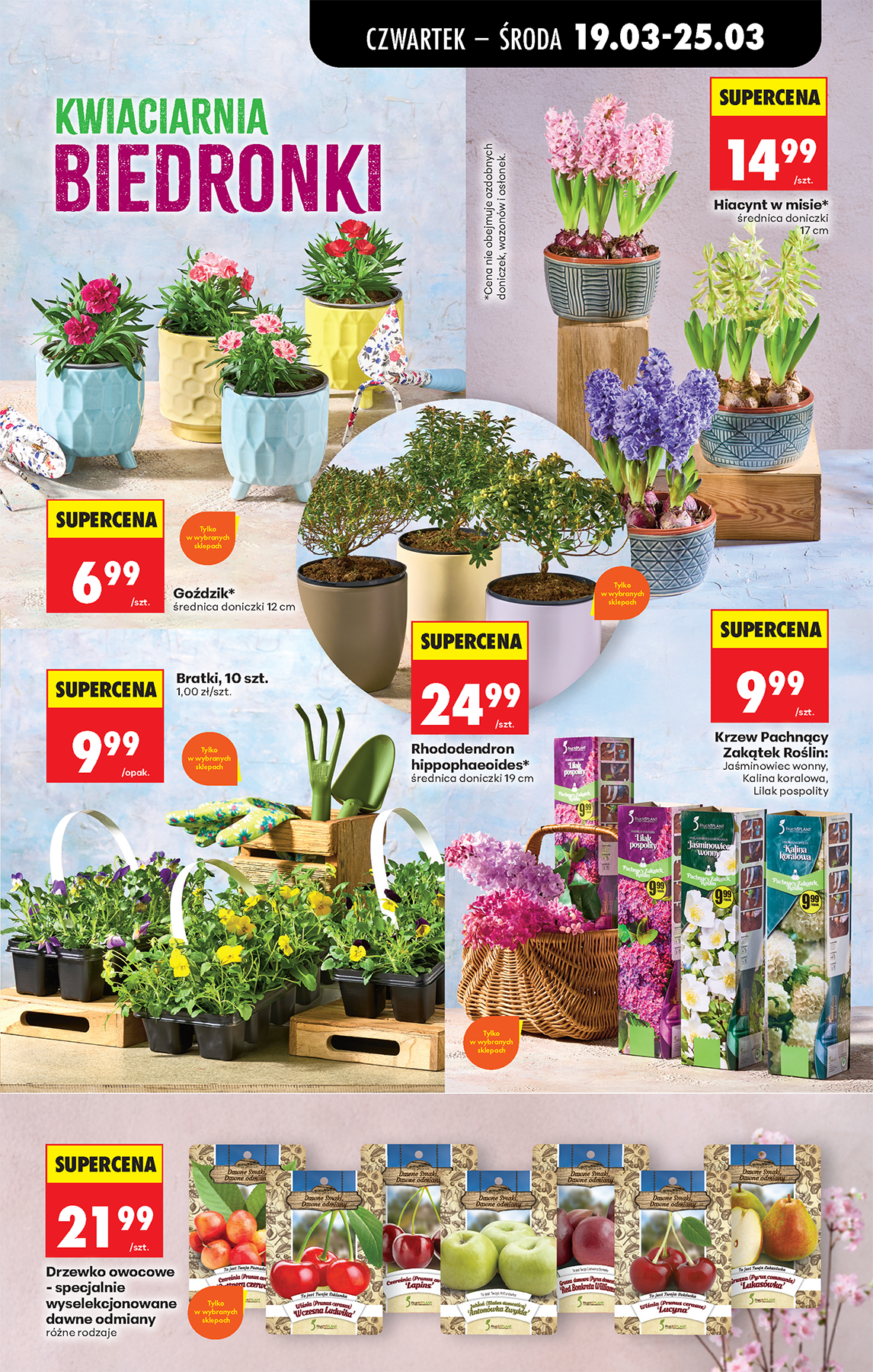 biedronka - Biedronka leták platný od čtvrtka 19.03.2026 do středy 25.03.2026 - page: 77